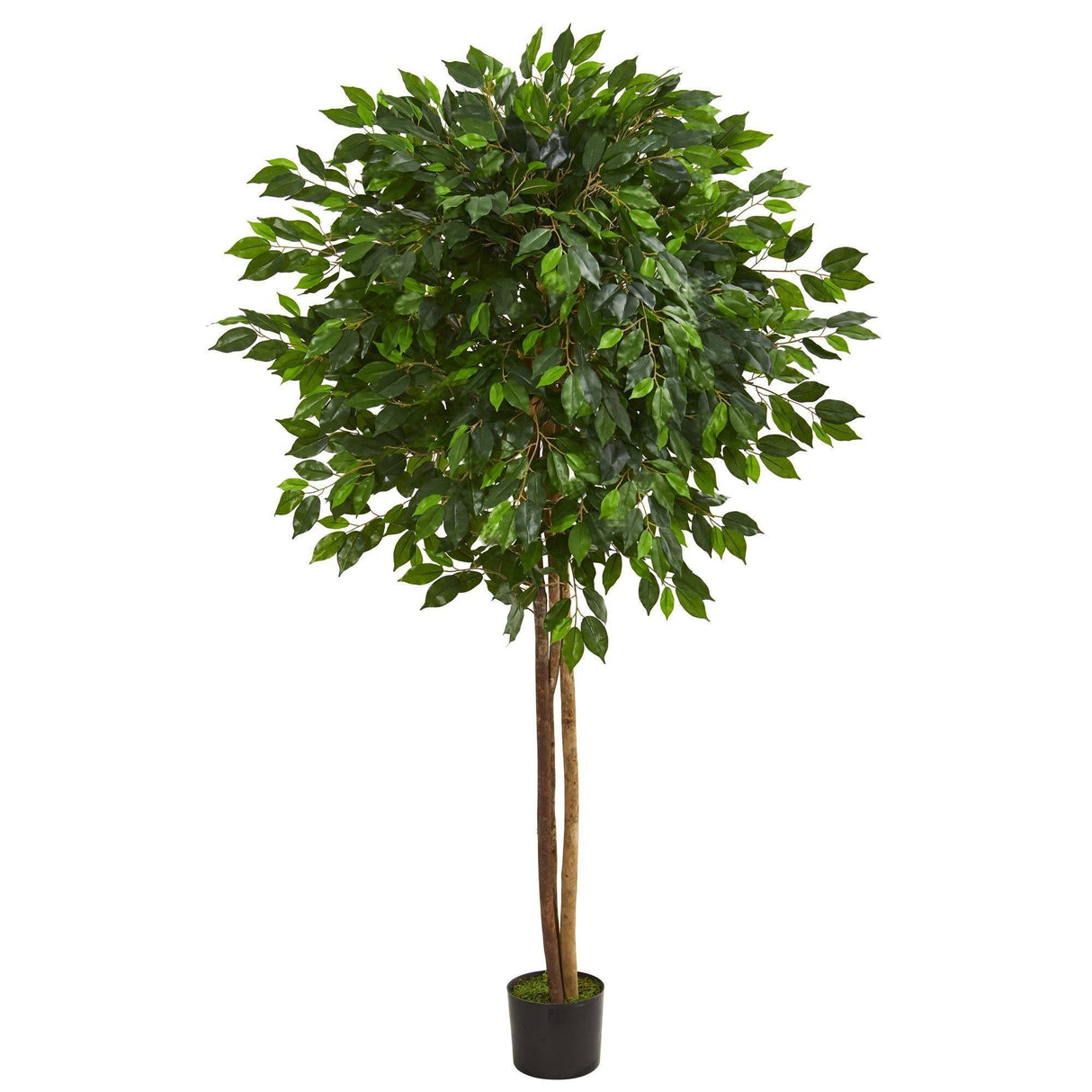 6.5’ Ficus Artificial Tree-Parc Decor