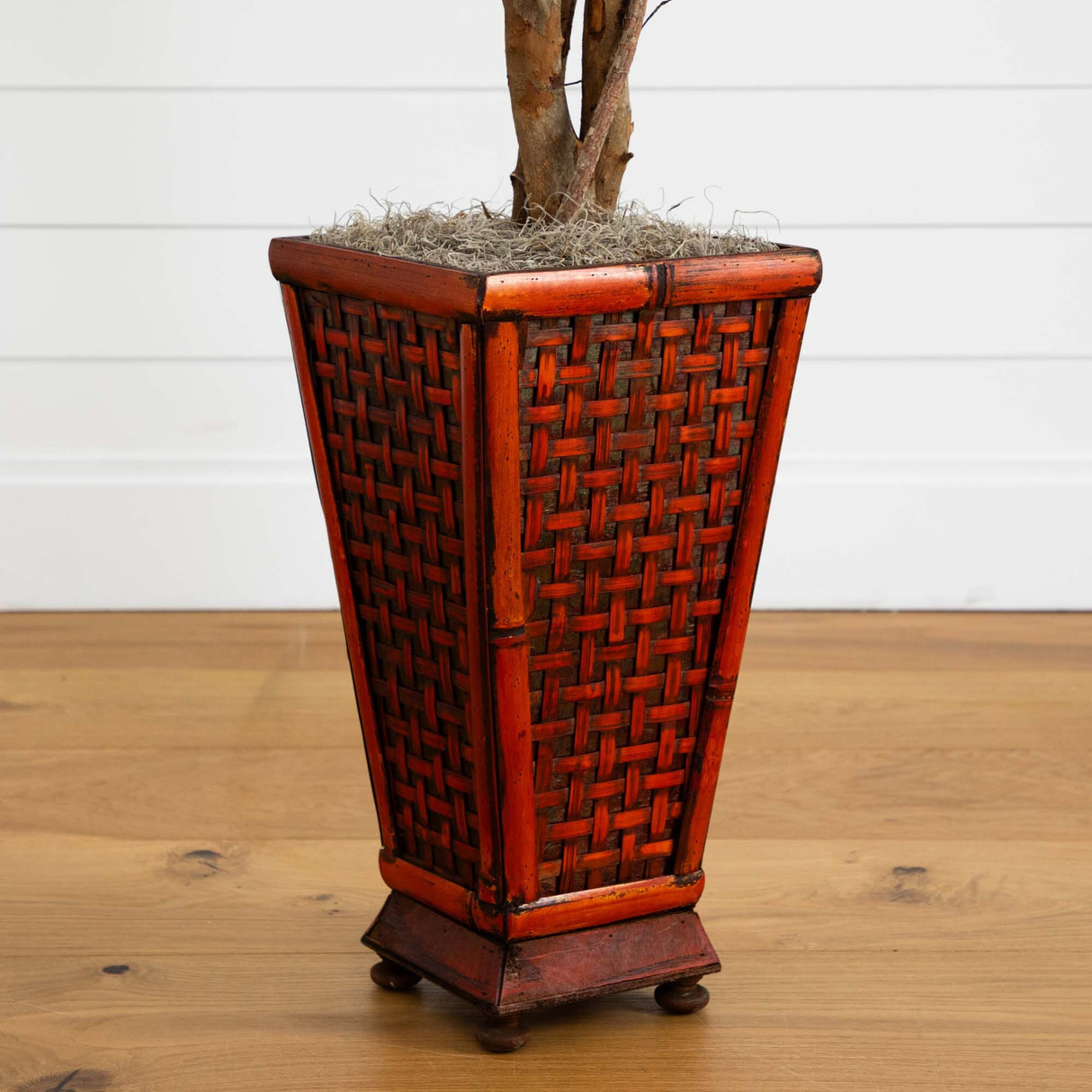 6.5’ Ficus w/Decorative Planter-Parc Decor