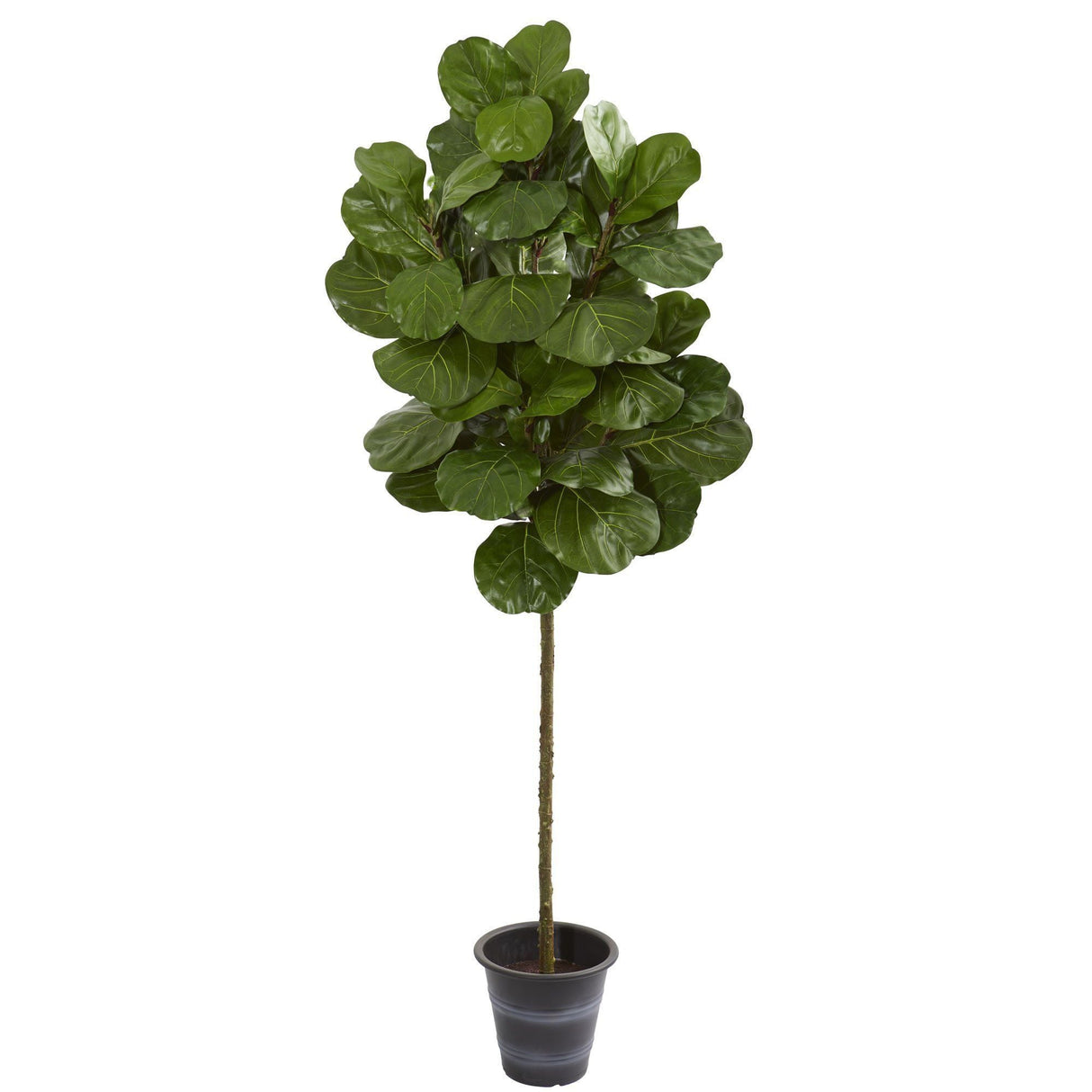 6.5’ Fiddle Leaf Artificial Tree With Decorative Planter-Parc Decor