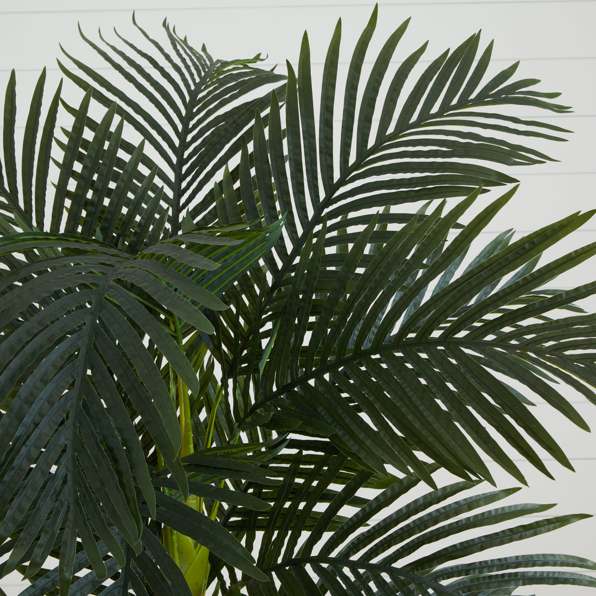 6.5' Golden Cane Artificial Palm Tree-Parc Decor