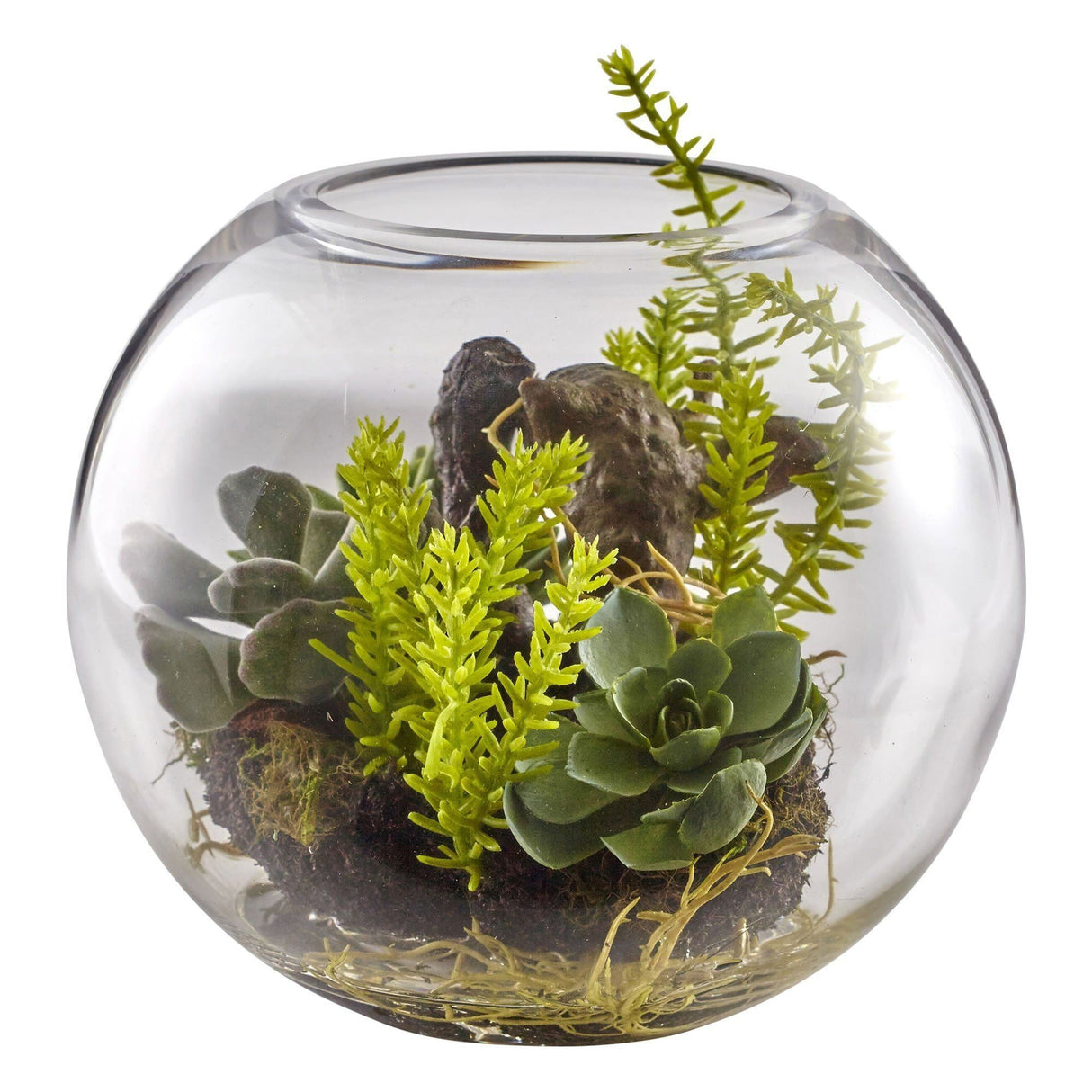 6.5” Mix Succulent Garden w/Glass Vase-Parc Decor