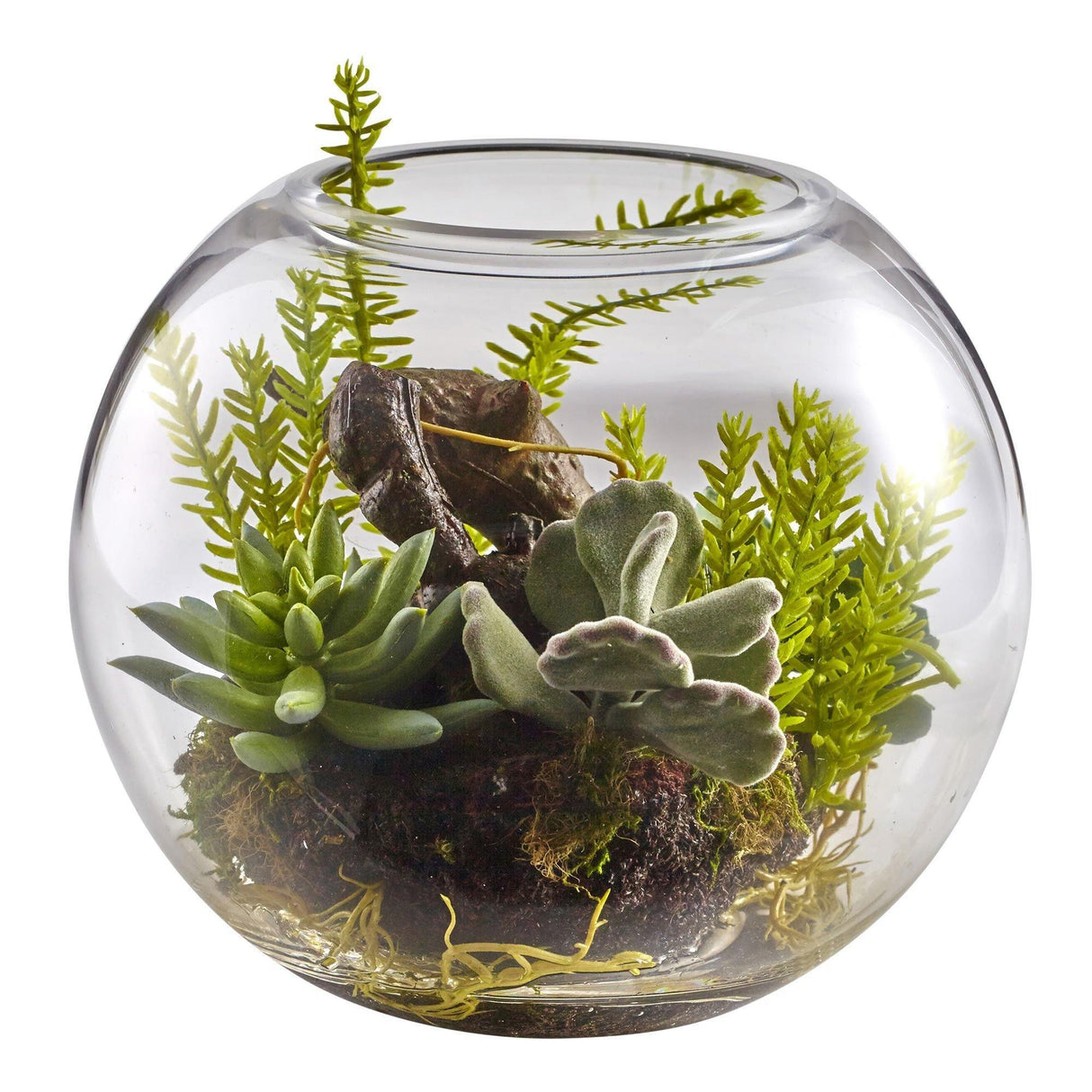 6.5” Mix Succulent Garden w/Glass Vase-Parc Decor
