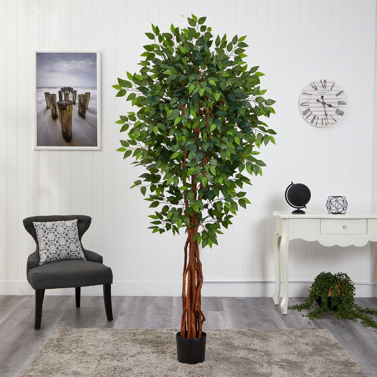 6.5’ Super Deluxe Ficus Artificial Tree with Natural Trunk-Parc Decor
