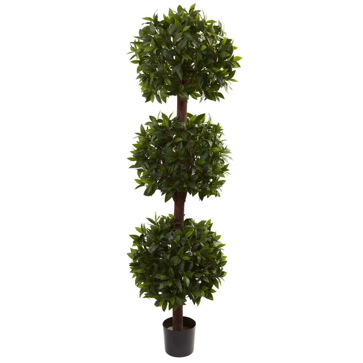 6.5’ Sweet Bay Triple Ball Topiary-Parc Decor