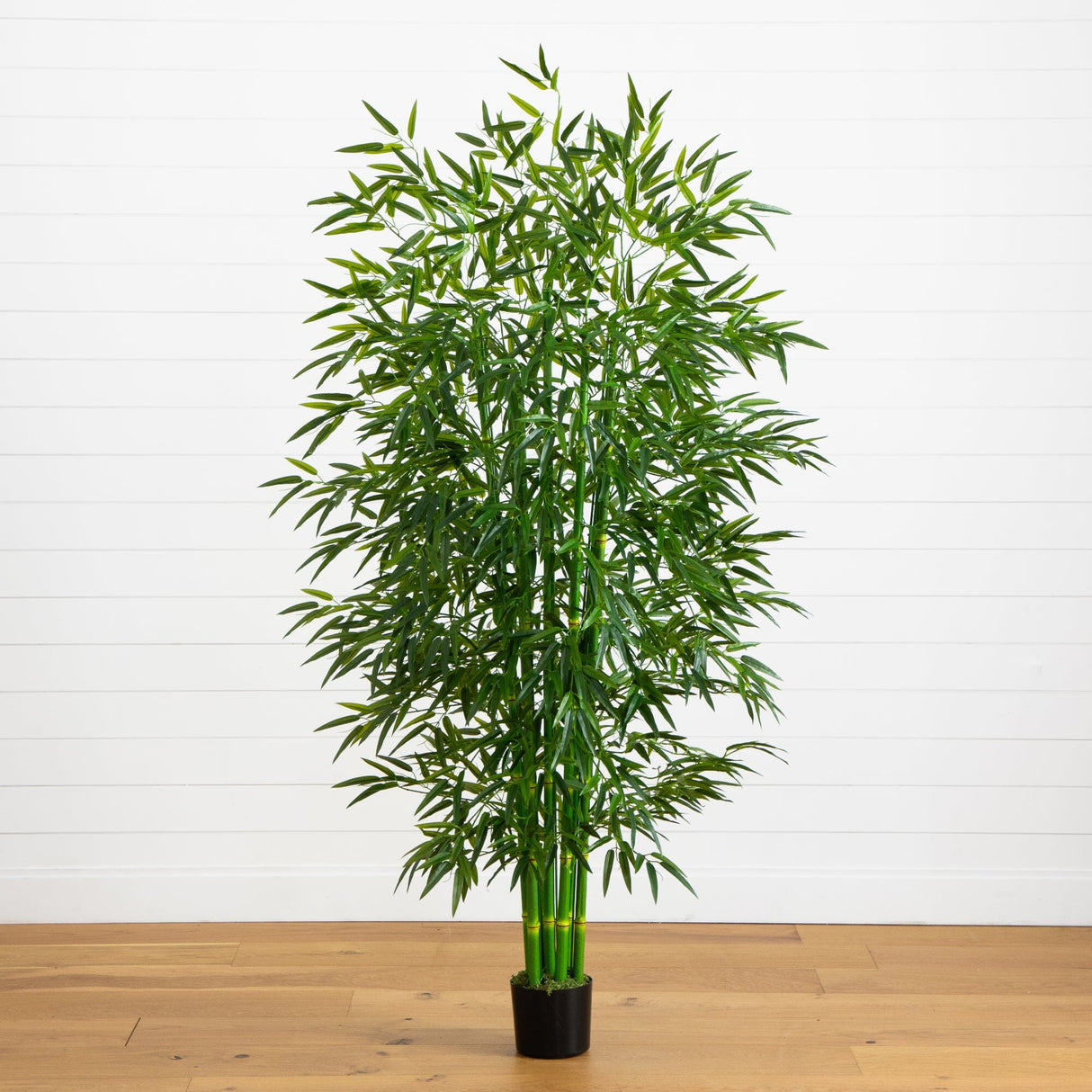 7' Bamboo Tree UV Resistant (Indoor/Outdoor)-Parc Decor