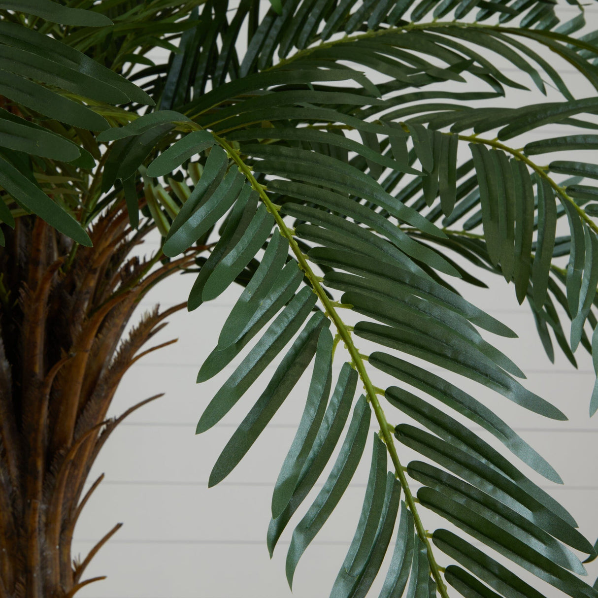 7’ Cycas Palm Artificial Tree-Parc Decor
