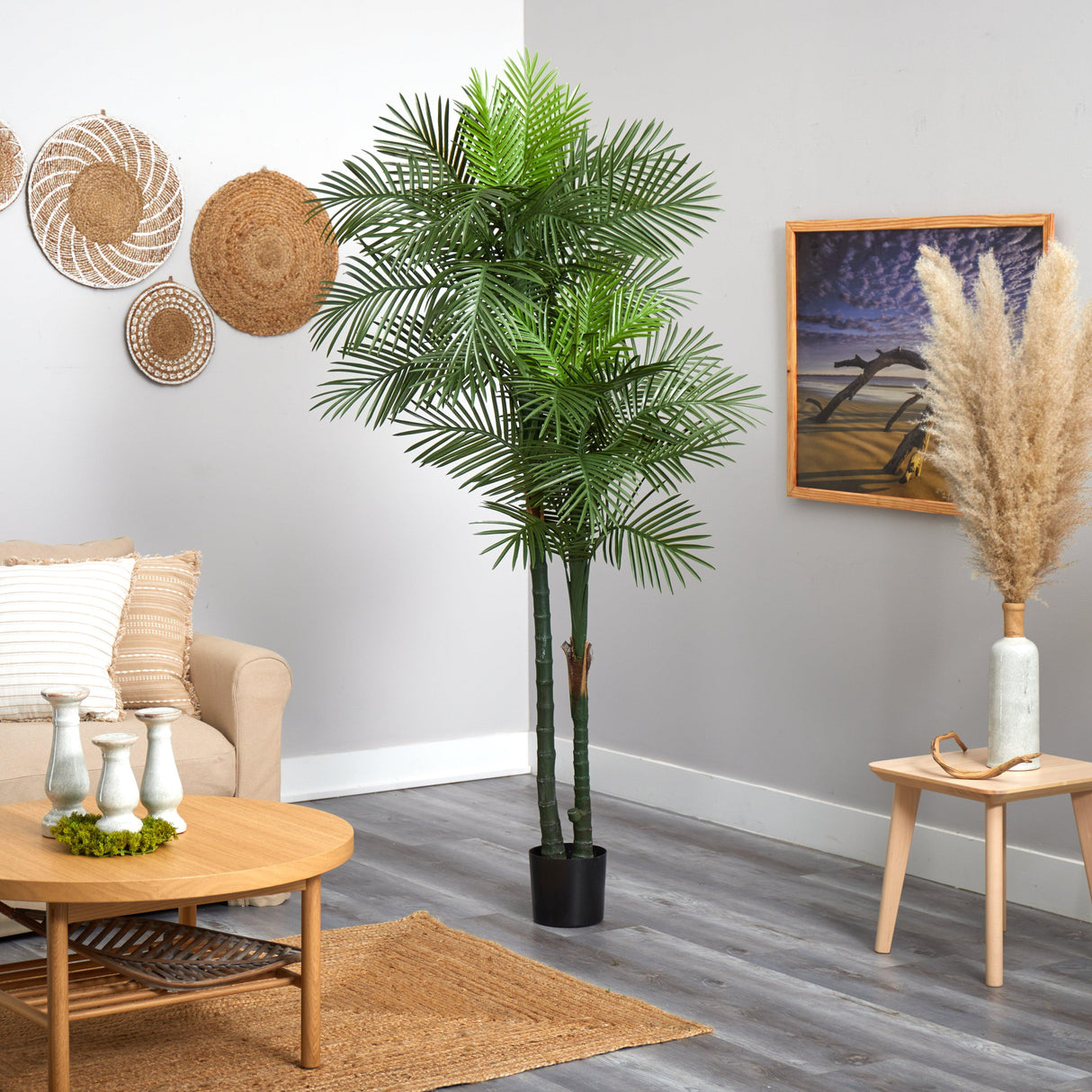 7’ Double Robellini Palm Tree UV Resistant (Indoor/Outdoor)-Parc Decor