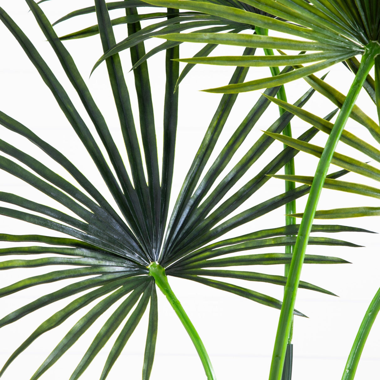 7’ Fan Palm Tree UV Resistant (Indoor/Outdoor)-Parc Decor