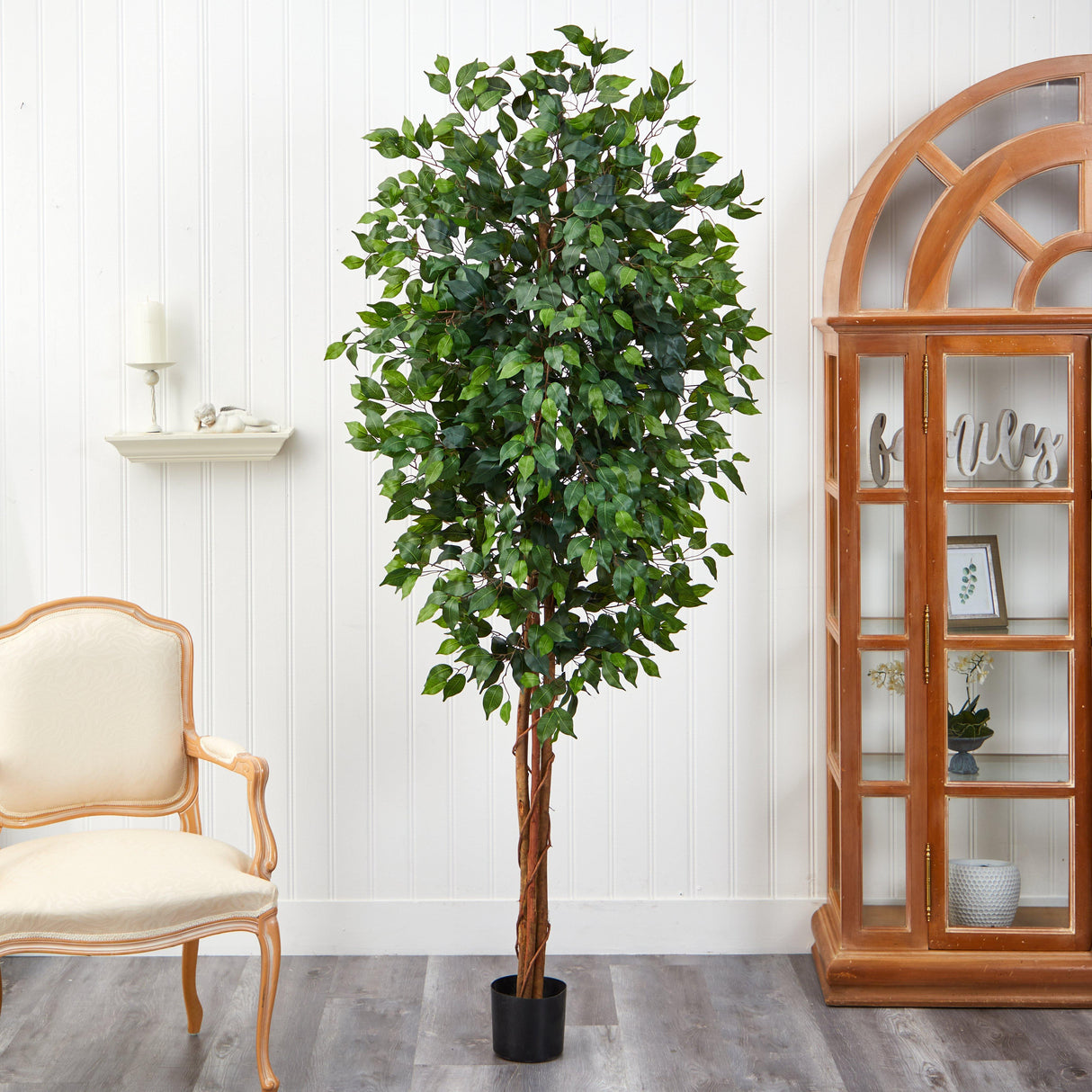 7' Ficus Silk Tree-Parc Decor