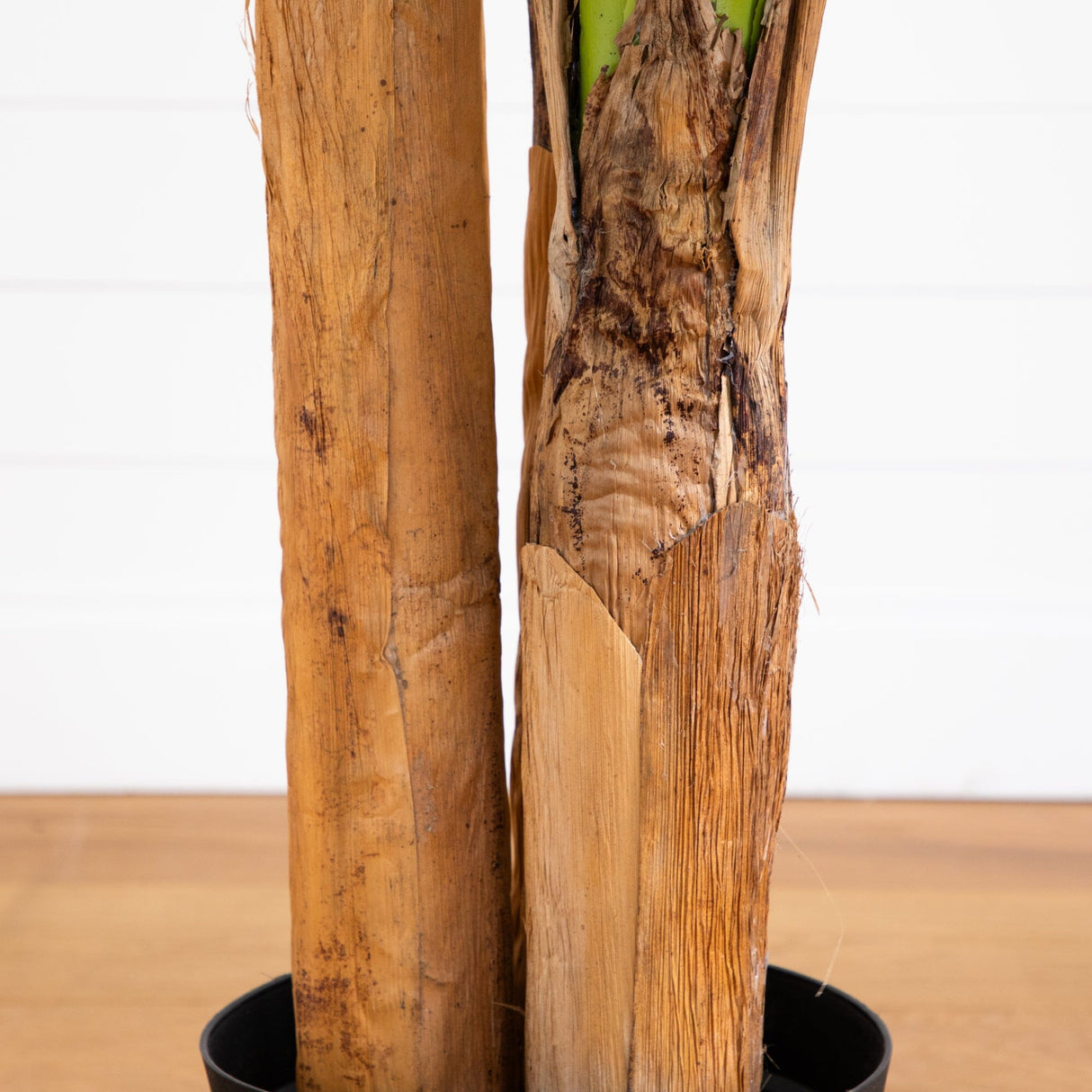 7' Giant Triple Stalk Banana Tree UV Resistant (Indoor/Outdoor)-Parc Decor