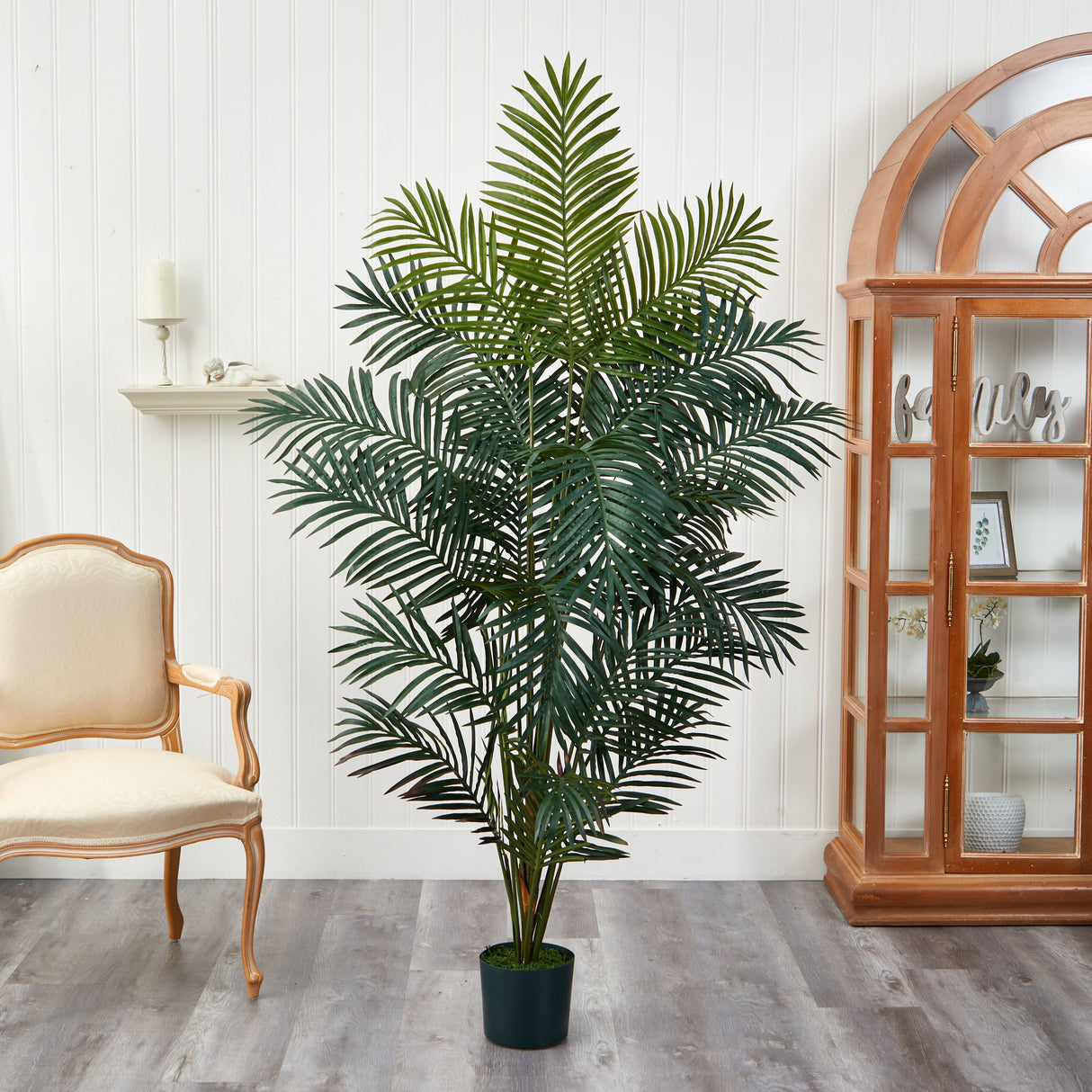 7' Paradise Palm-Parc Decor