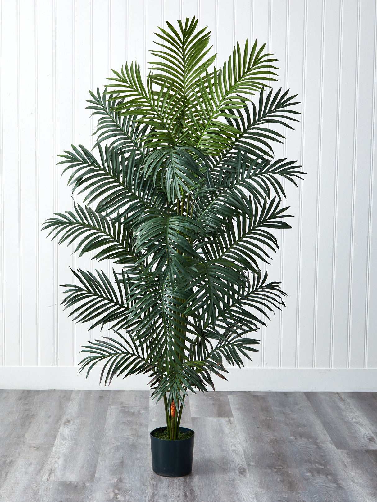 7' Paradise Palm-Parc Decor