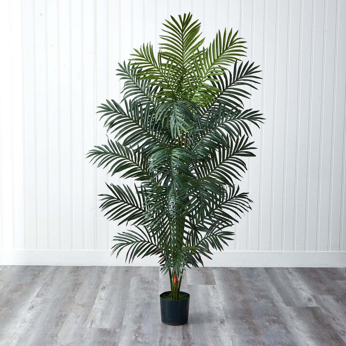 7' Paradise Palm-Parc Decor