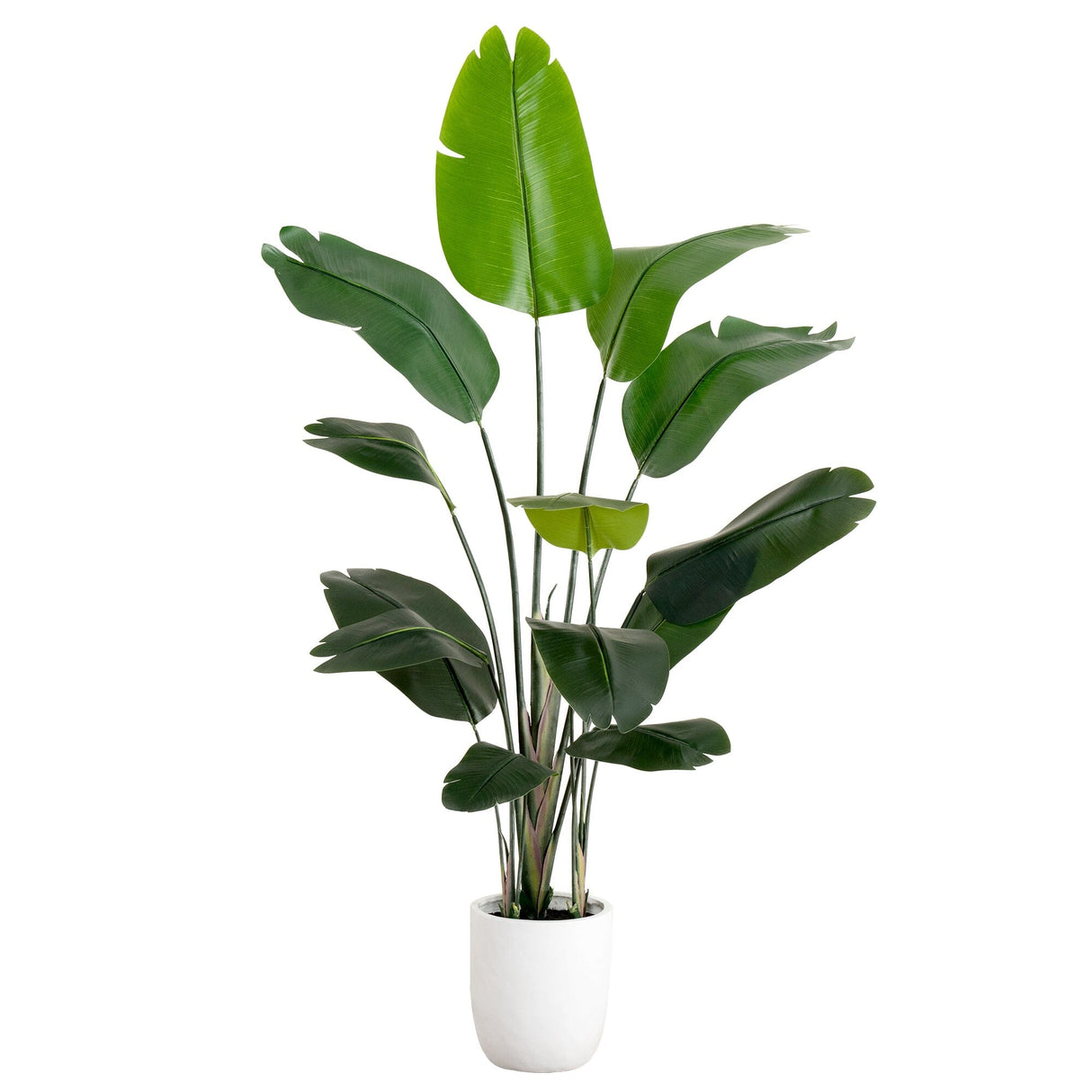 7' Artificial Bird of Paradise Tree with Resin Stone Planter-Tree-Parc Decor