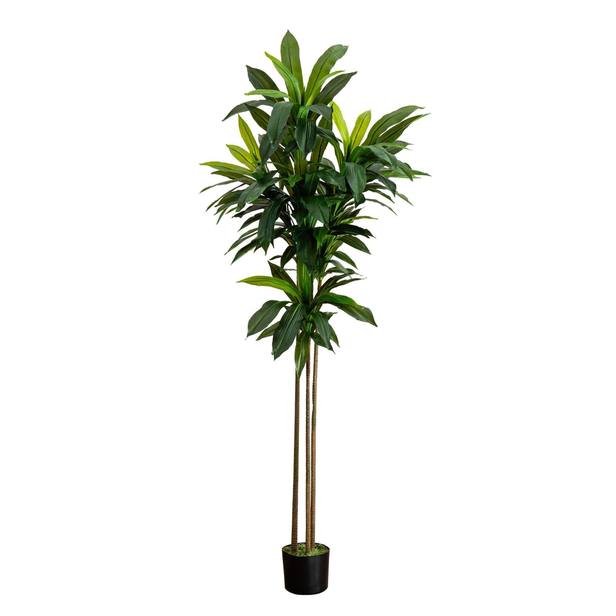 7’ Artificial Dracaena Tree-Tree-Parc Decor