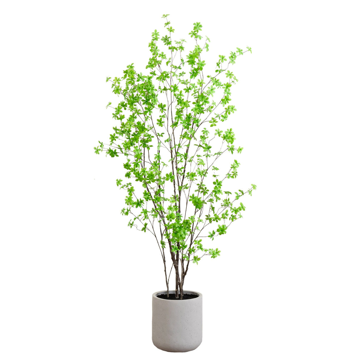 7’ Artificial Enkianthus Tree with Resin Stone Planter-Tree-Parc Decor