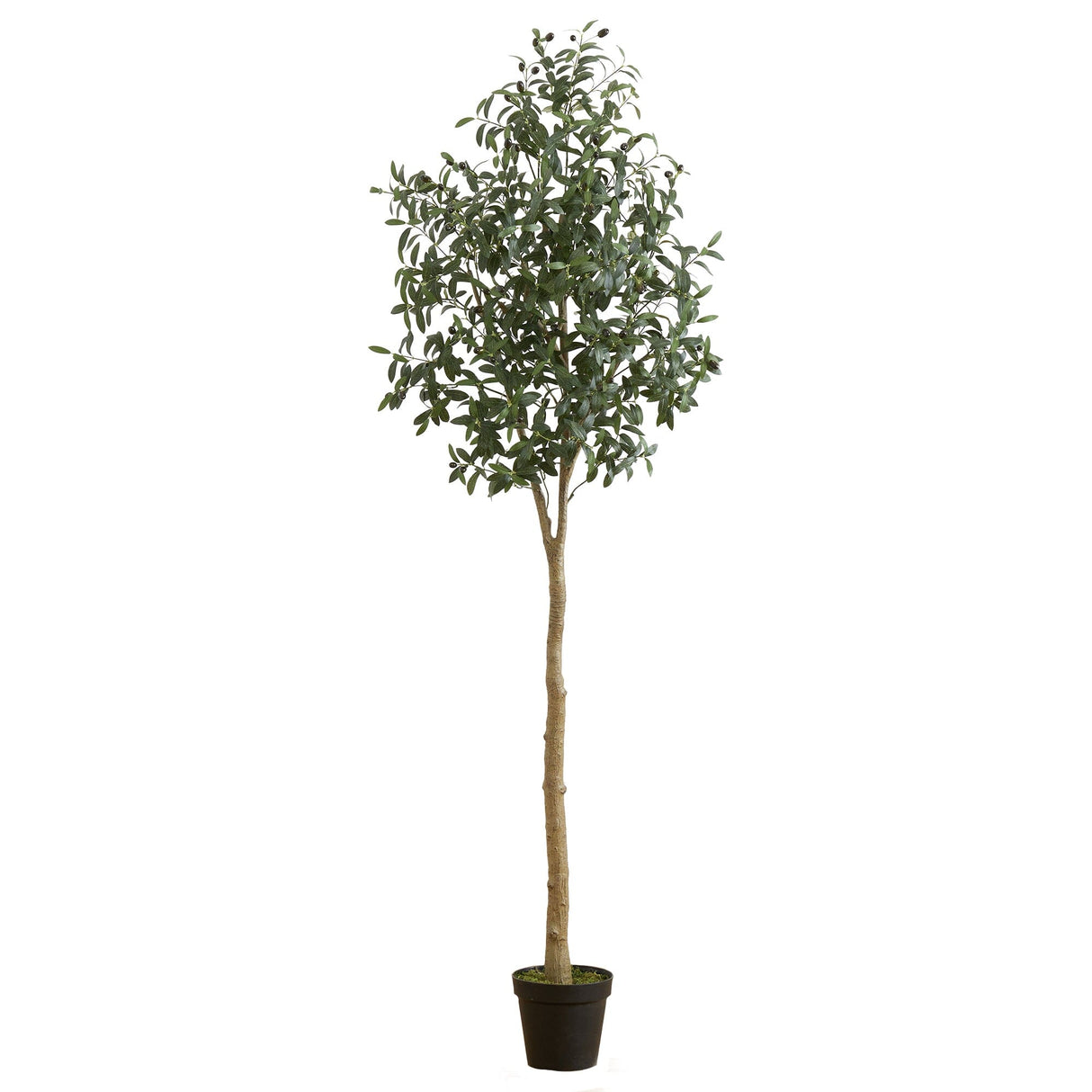 7’ Artificial Olive Tree-Tree-Parc Decor
