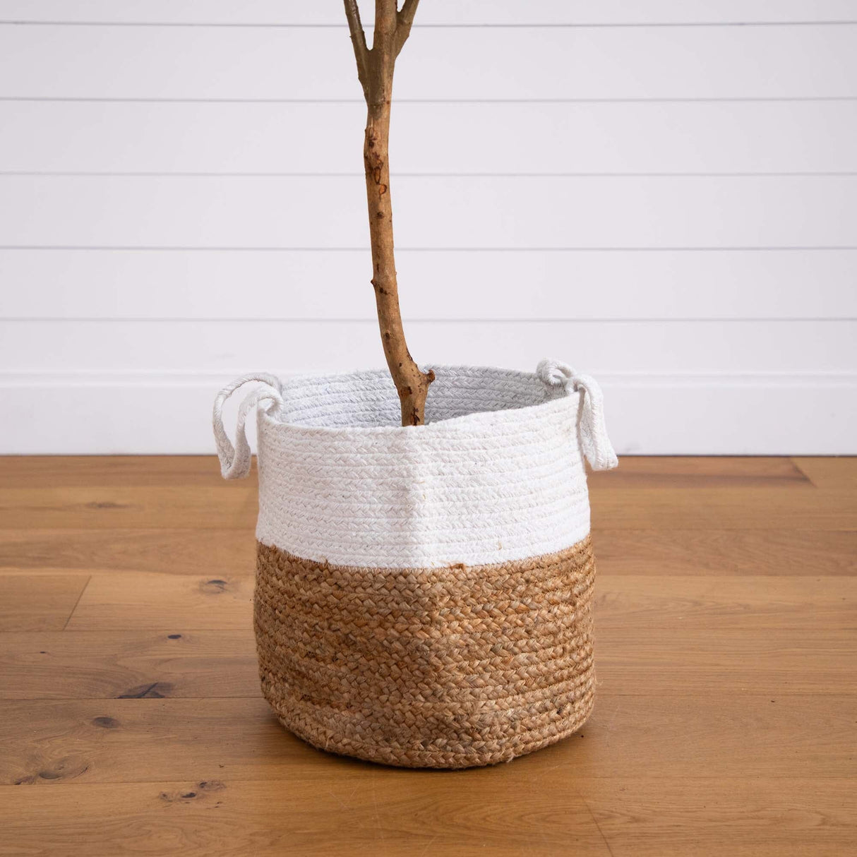 7’ Artificial Olive Tree with Natural Trunk and Handmade Jute Basket-Tree-Parc Decor