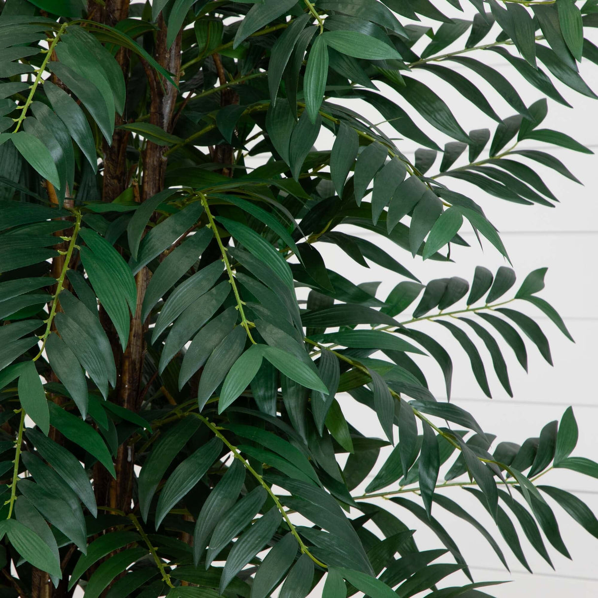 7' Bamboo Palm Silk Tree-Tree-Parc Decor