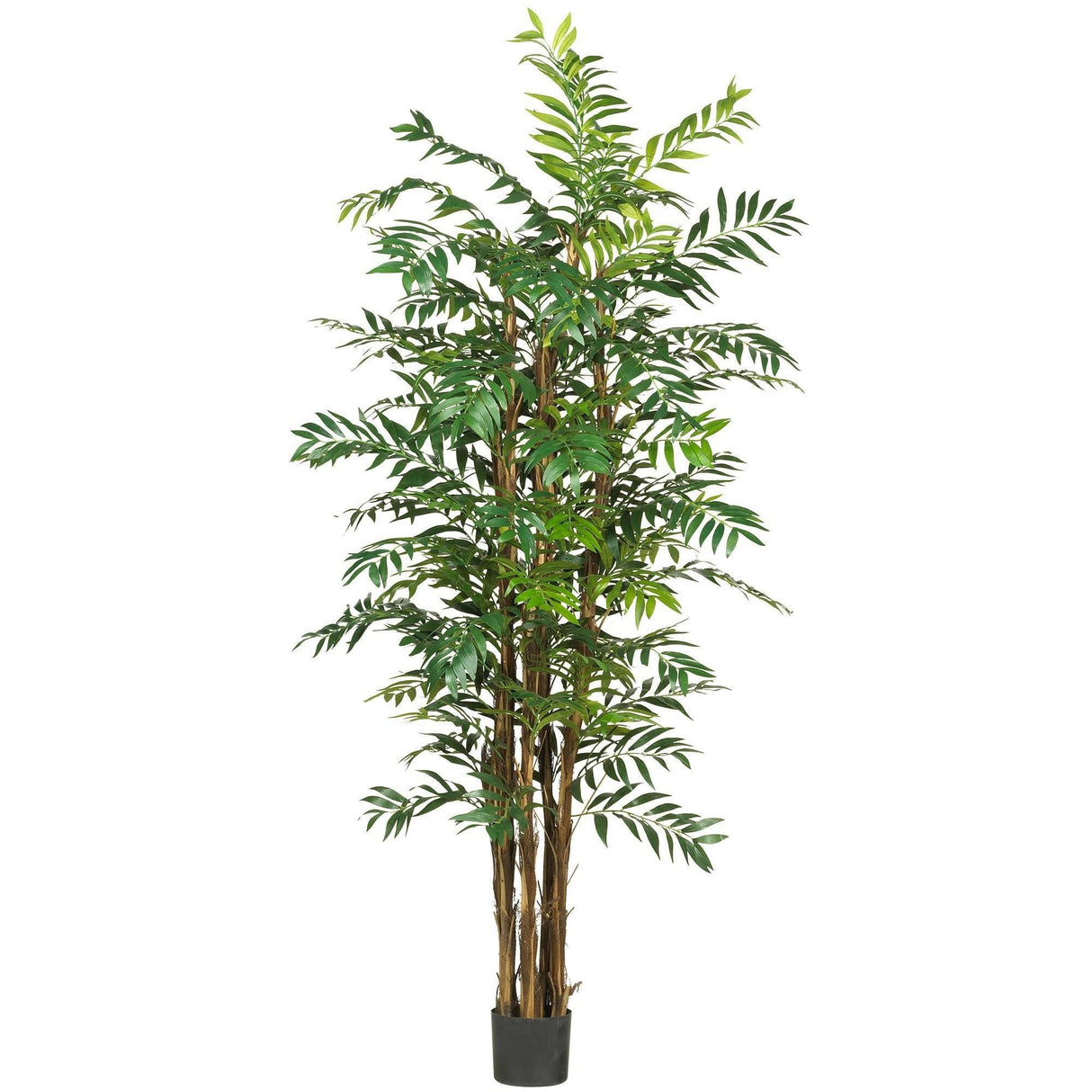 7' Bamboo Palm Silk Tree-Tree-Parc Decor