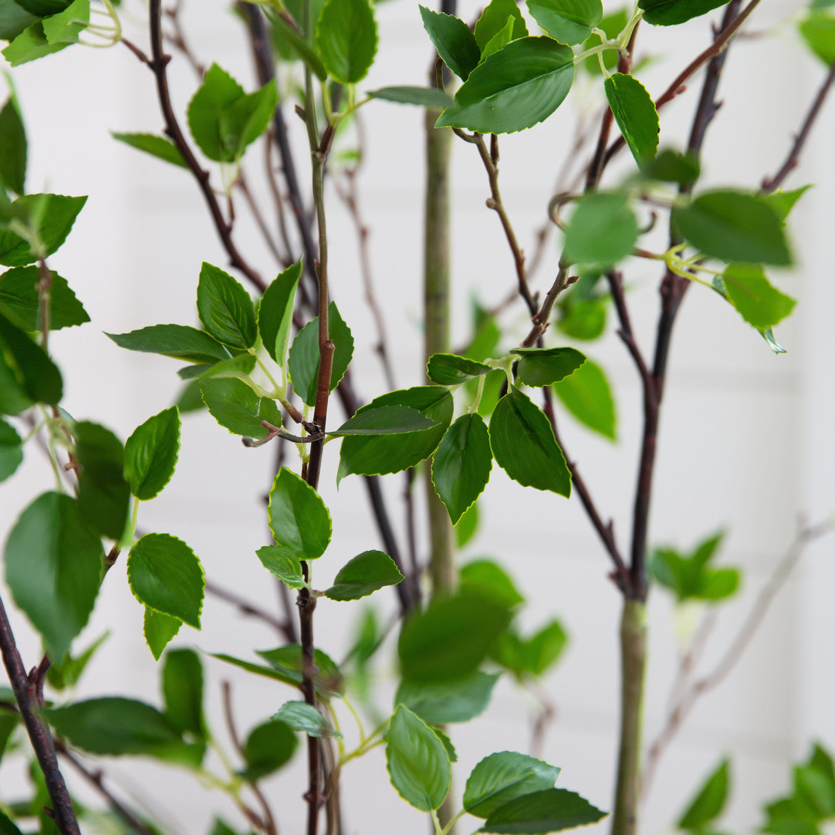 7' Minimalist Citrus Artificial Tree-Tree-Parc Decor