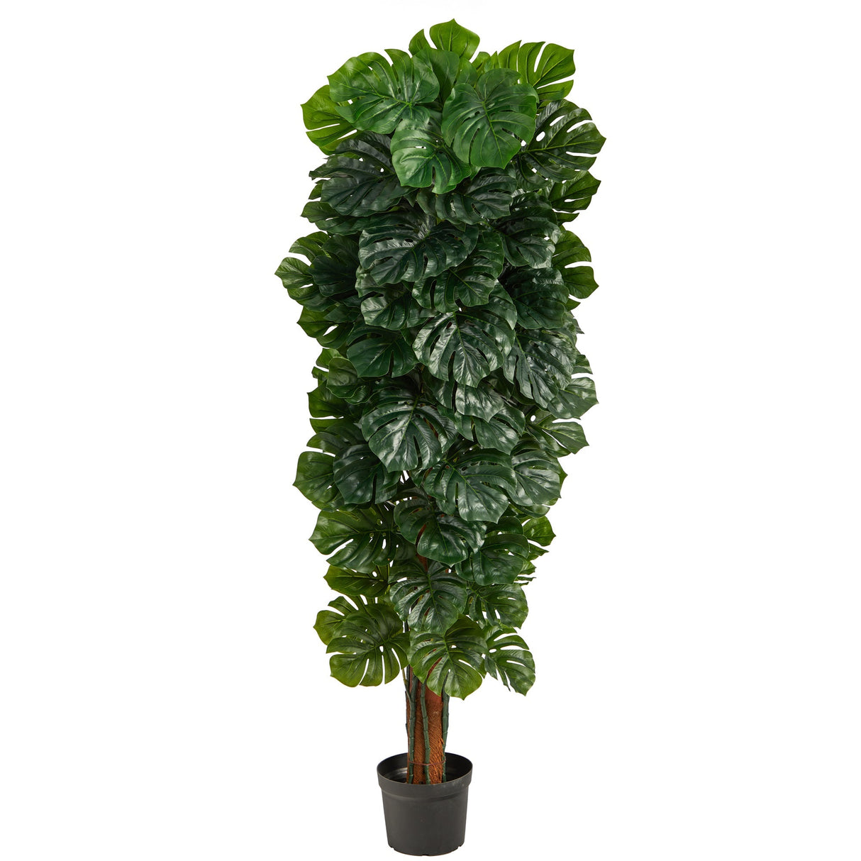 70” Monstera Artificial Tree (Indoor/Outdoor)-Parc Decor