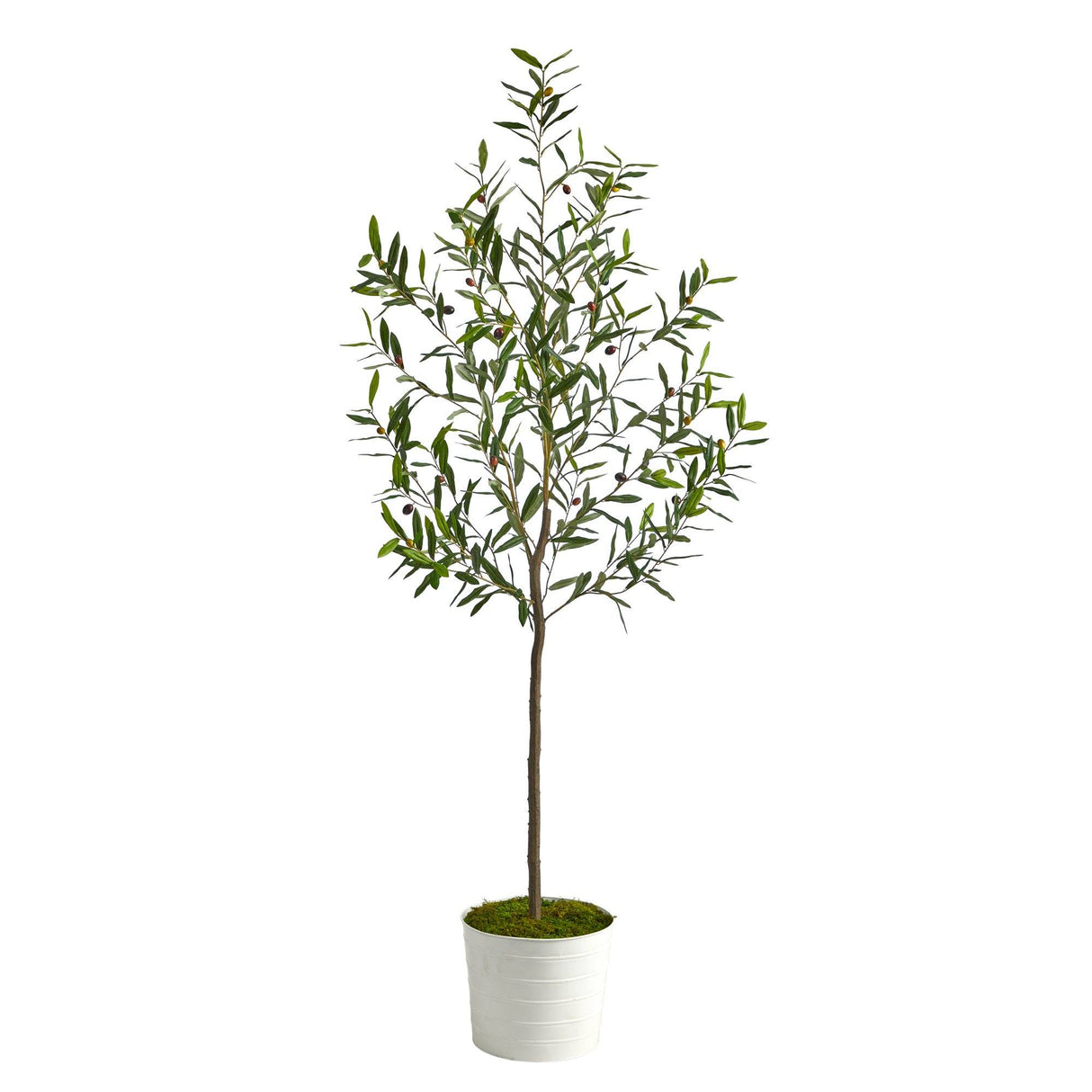 70” Olive Artificial Tree in White Tin Planter-Parc Decor