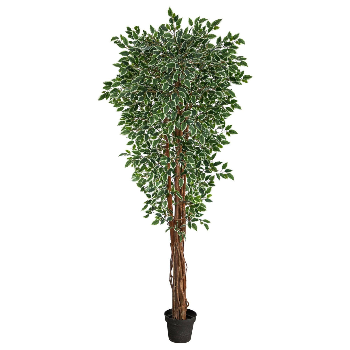 70” Variegated Ficus Artificial Tree UV Resistant (Indoor/Outdoor)-Parc Decor