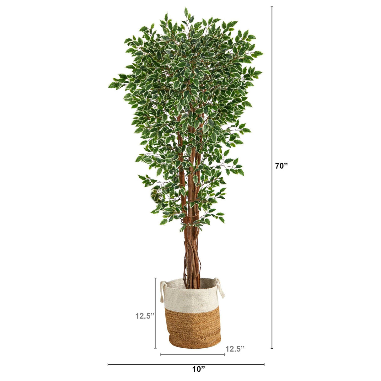 70” Variegated Ficus Tree in Handmade Jute and Cotton Planter UV Resistant (Indoor/Outdoor)-Parc Decor