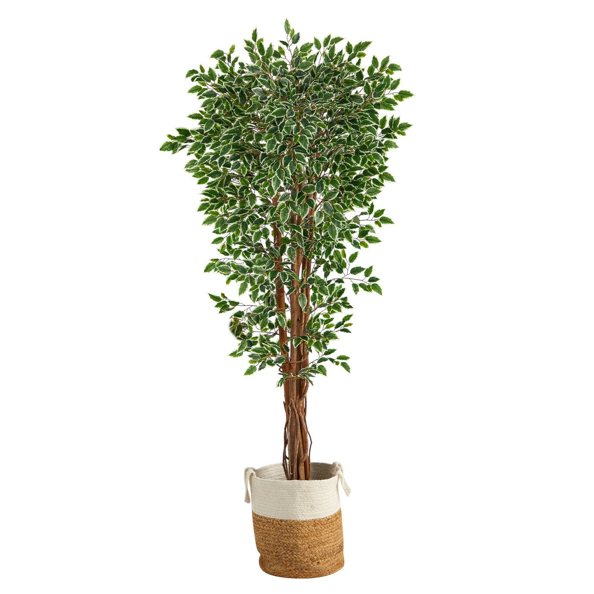 70” Variegated Ficus Tree in Handmade Jute and Cotton Planter UV Resistant (Indoor/Outdoor)-Parc Decor