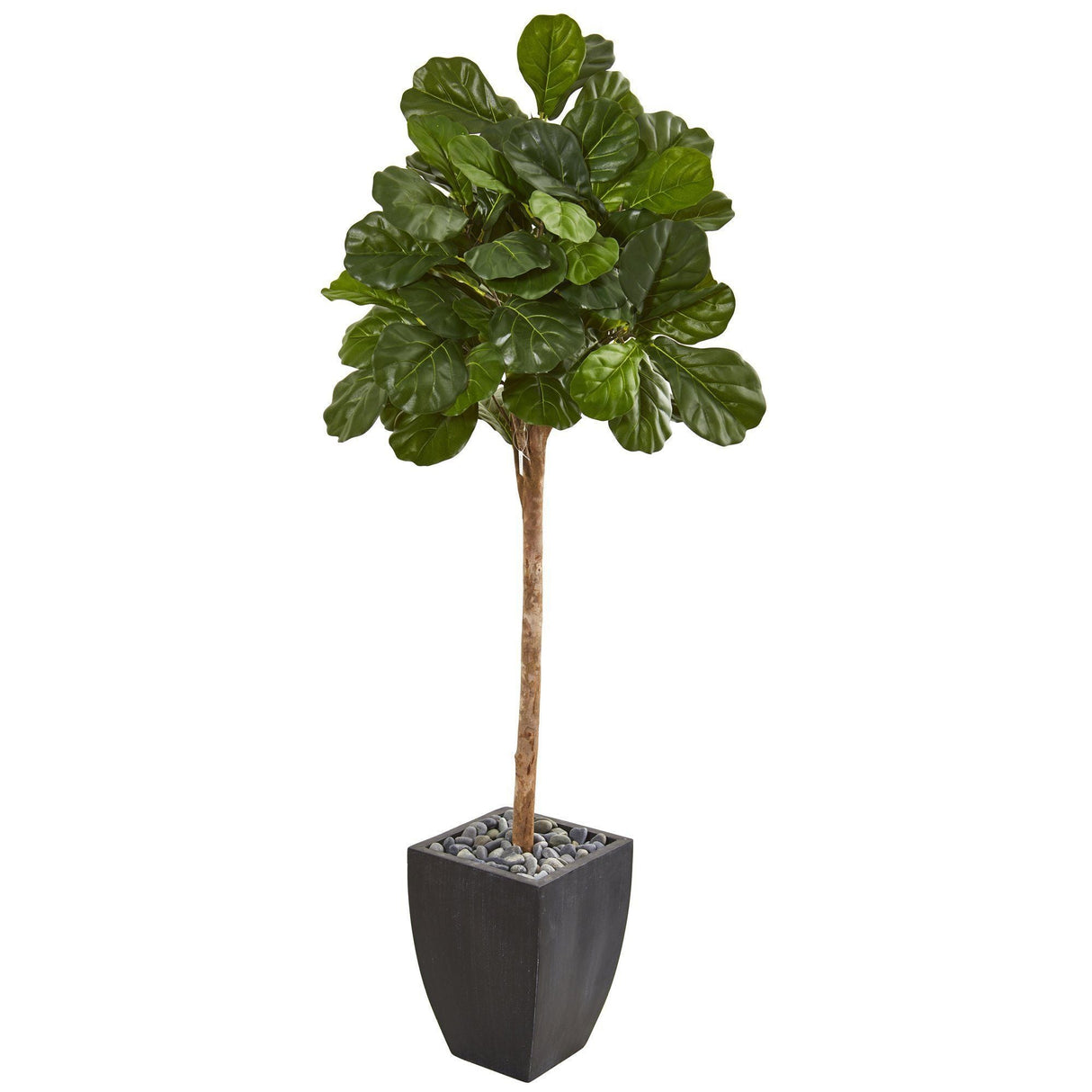 71” Fiddle Leaf Fig Artificial Tree in Black Planter-Parc Decor