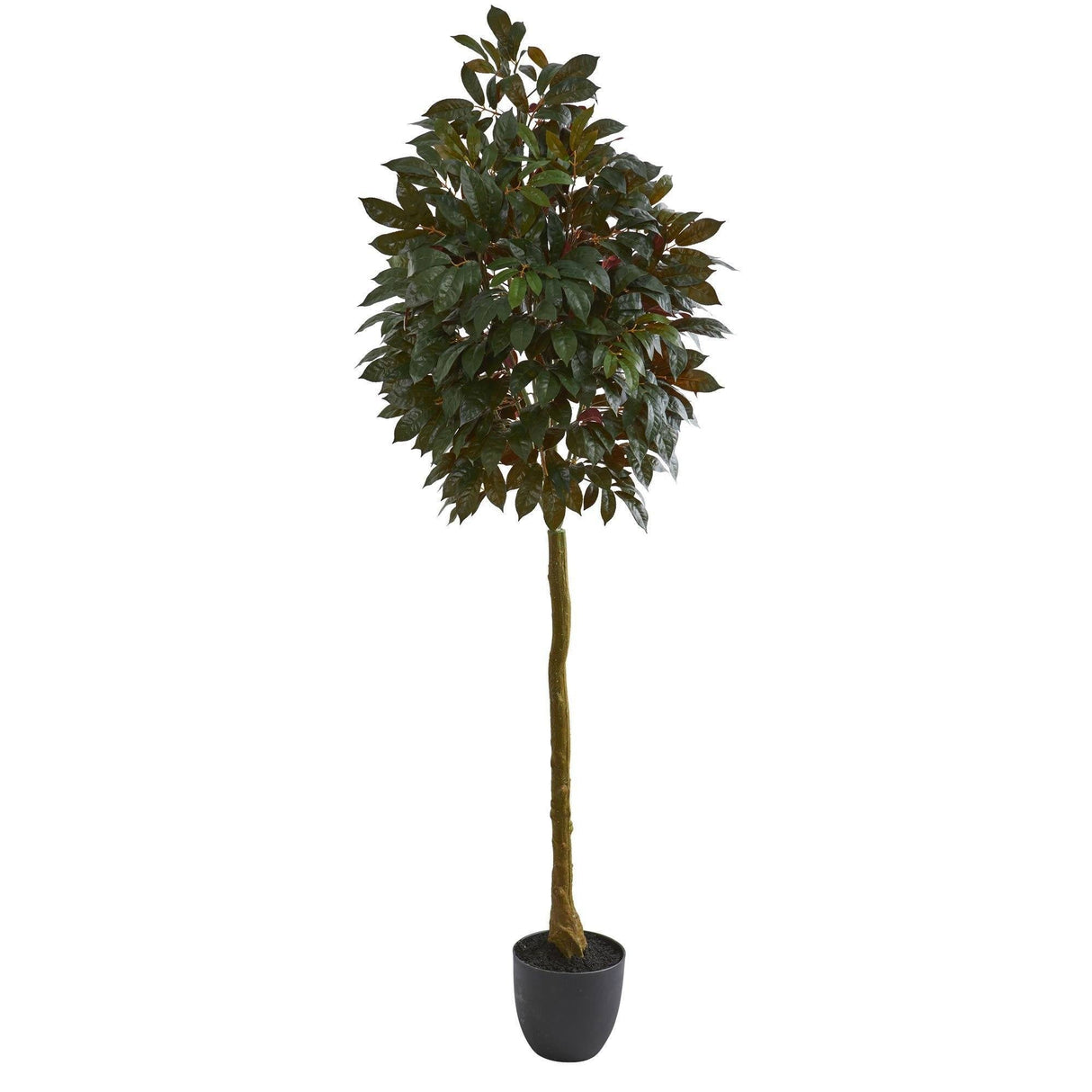 75” Capensia Ficus Artificial Tree-Parc Decor