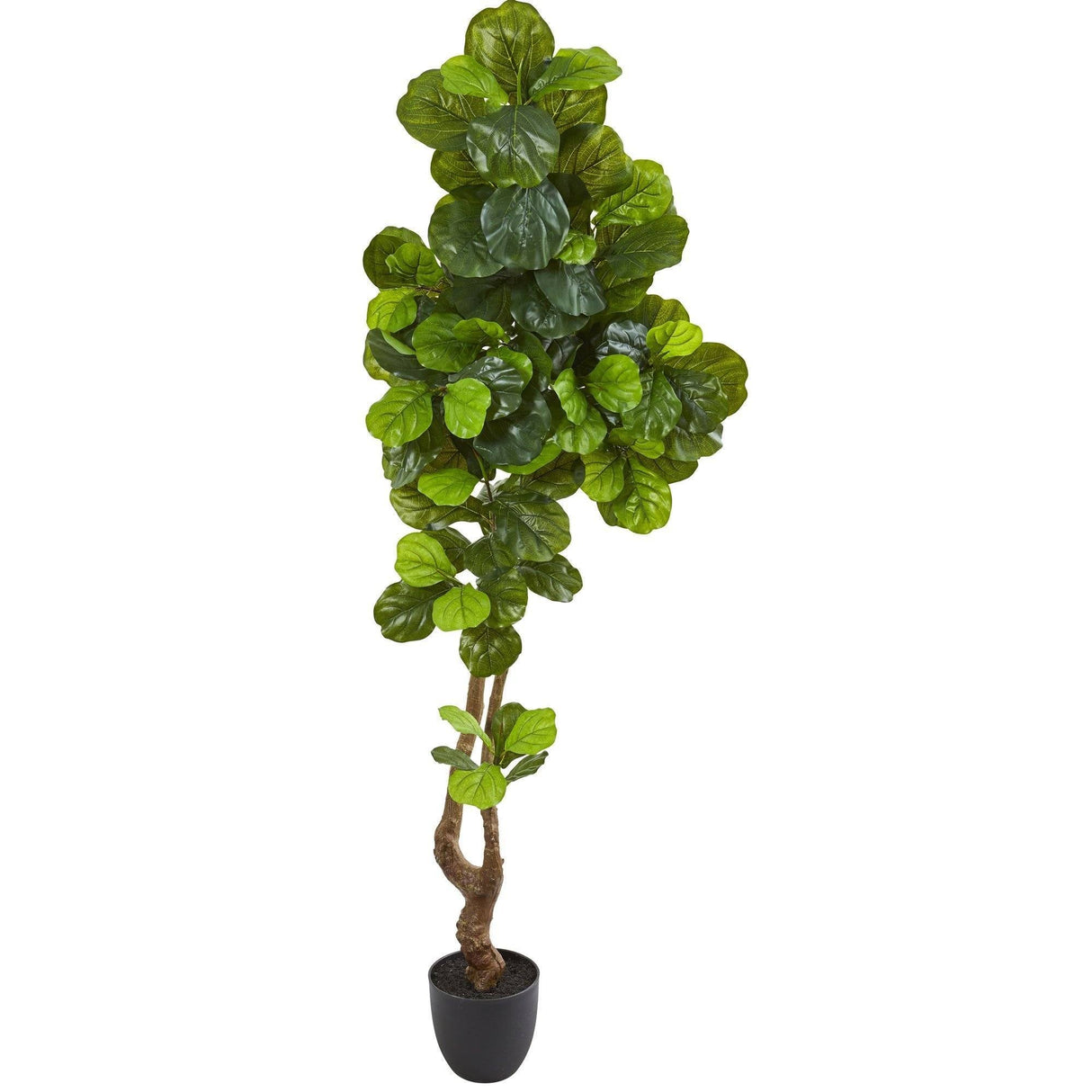78” Fiddle Leaf Artificial Tree (Real Touch)-Parc Decor
