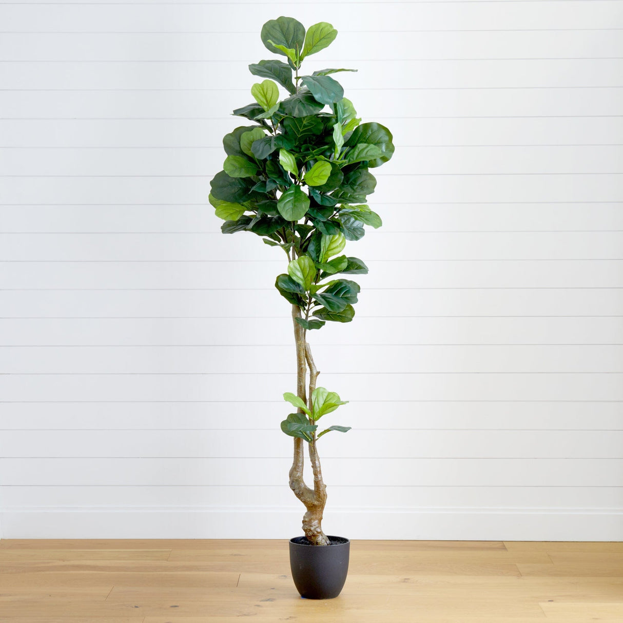 78” Fiddle Leaf Artificial Tree (Real Touch)-Parc Decor