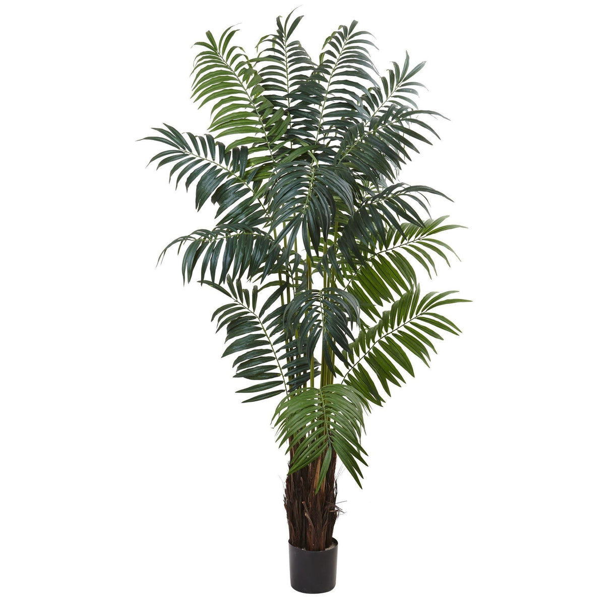 7.5’ Bulb Areca Palm Tree-Parc Decor