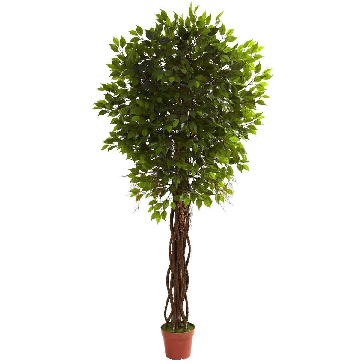 7.5' Ficus Tree UV Resistant (Indoor/Outdoor)-Parc Decor