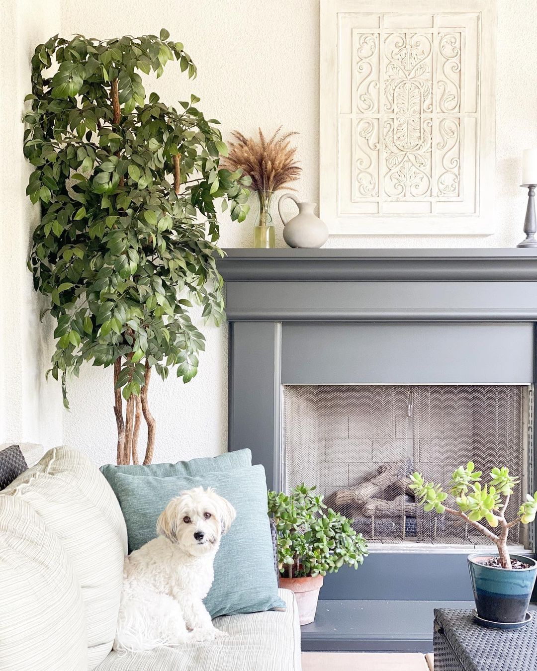 7.5’ Super Deluxe Ficus Tree-Parc Decor