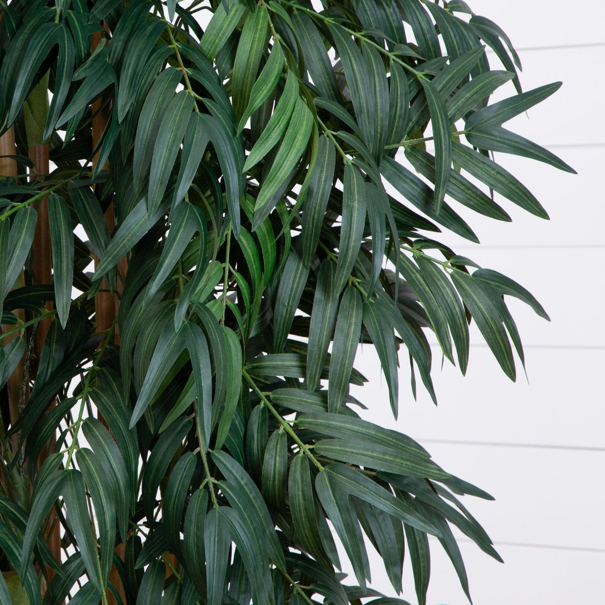 7.5’ Phoenix Palm Tree-Tree-Parc Decor