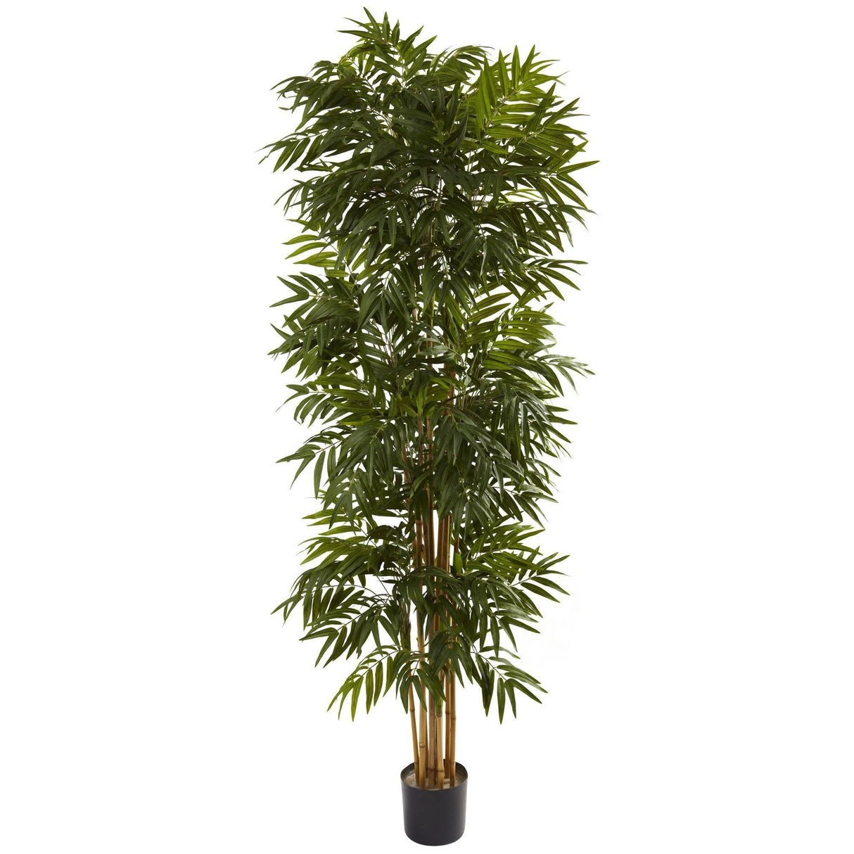 7.5’ Phoenix Palm Tree-Tree-Parc Decor