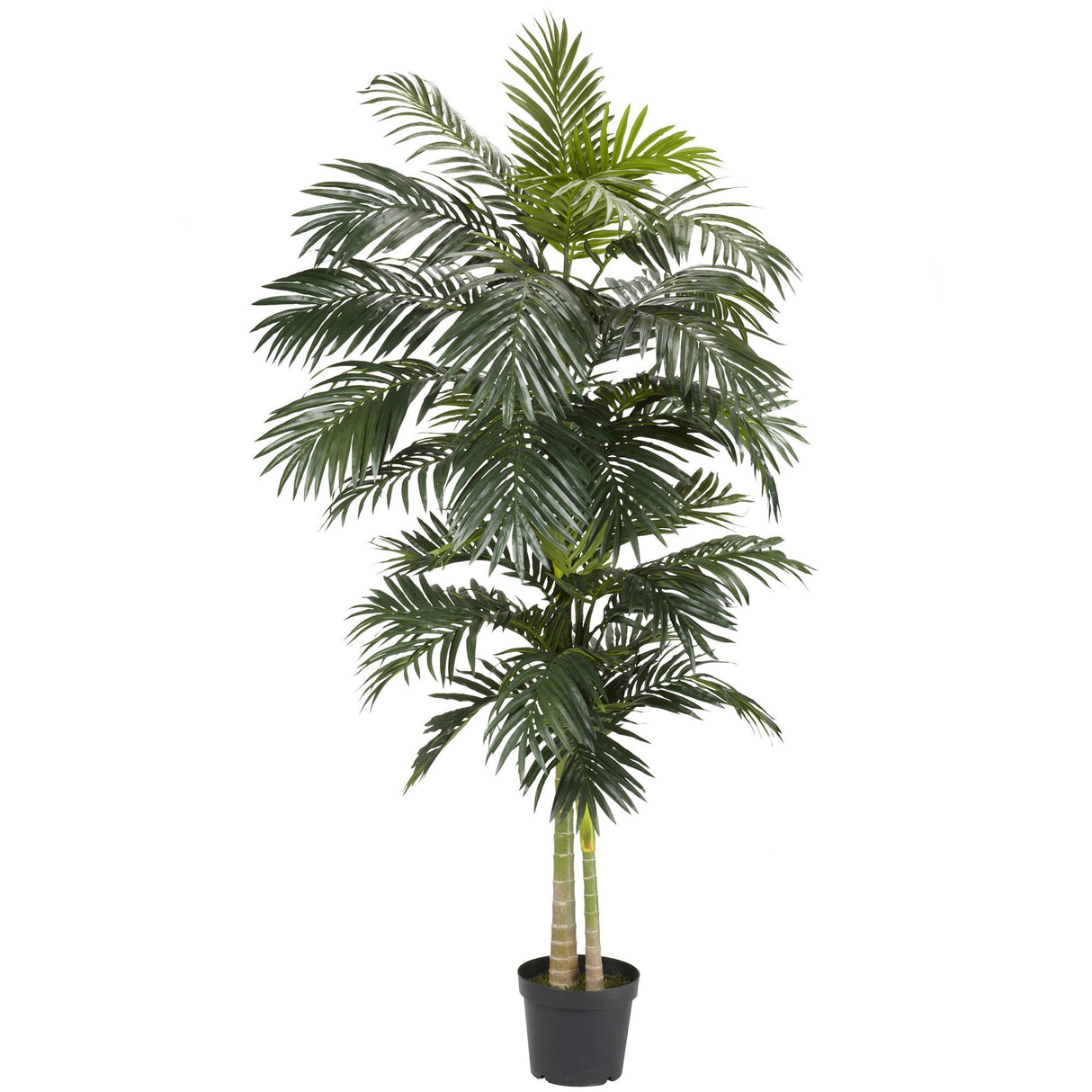 8' Golden Cane Palm Silk Tree-Parc Decor