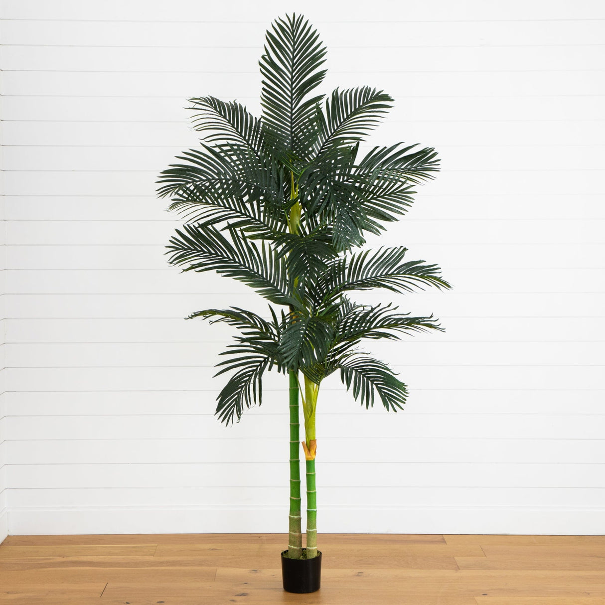 8' Golden Cane Palm Silk Tree-Parc Decor