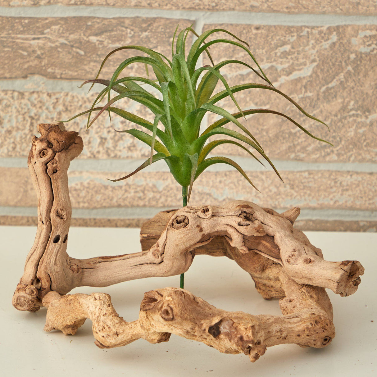 8” Tillandsia Artificial Flower (Set of 12)-Parc Decor