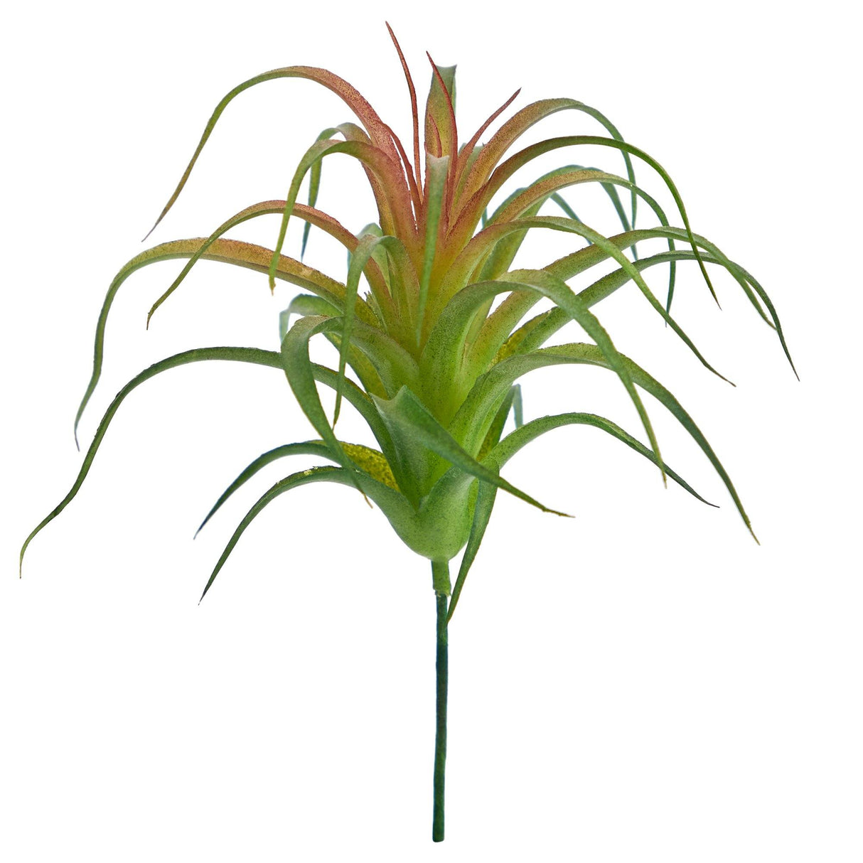8” Tillandsia Artificial Flower (Set of 12)-Parc Decor