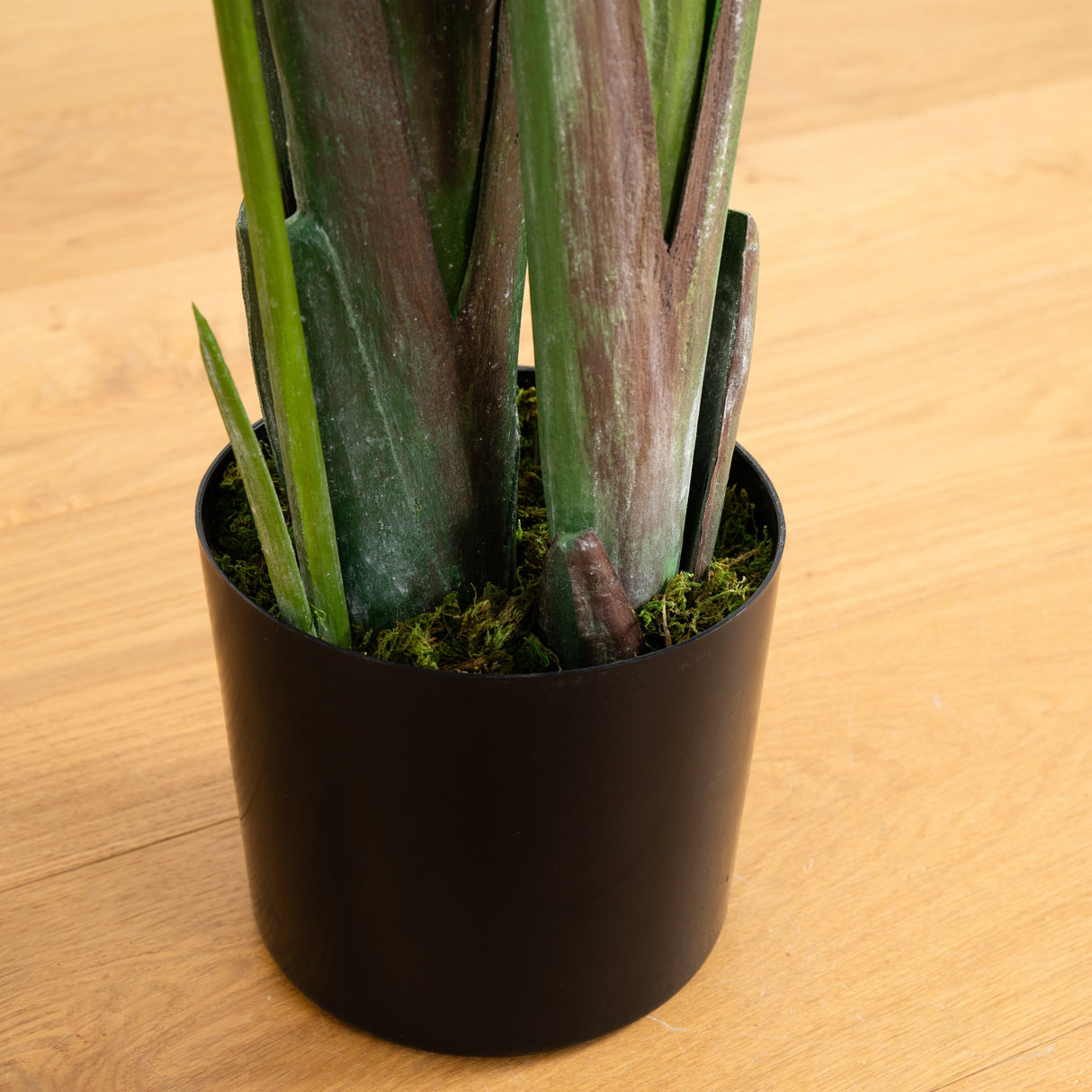 8’ Traveler's Palm Artificial tree-Parc Decor