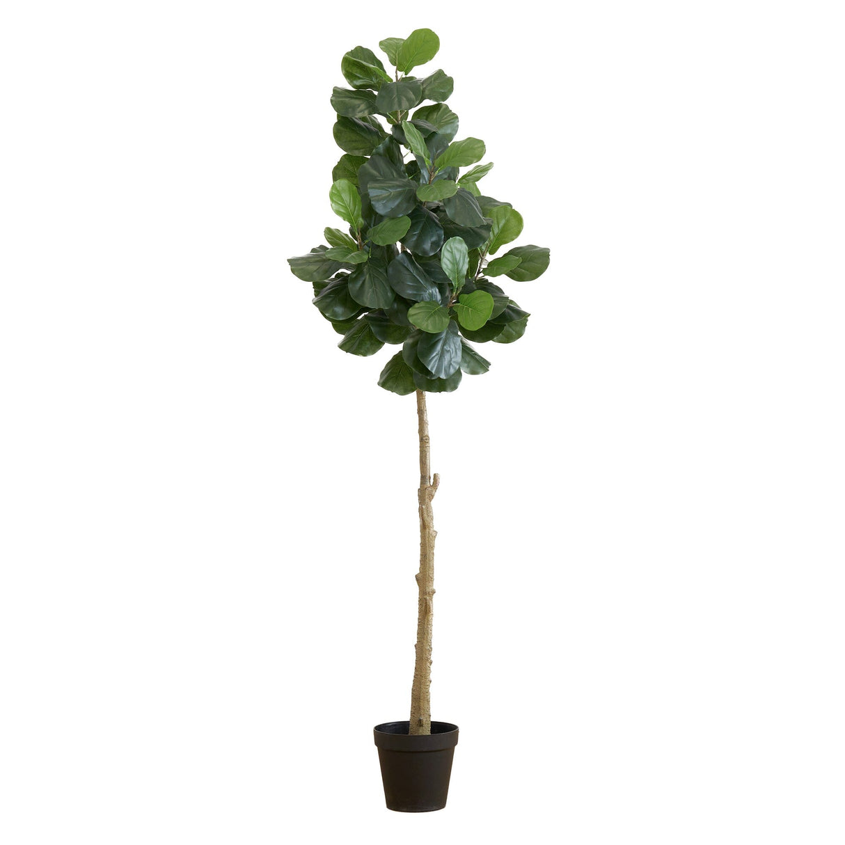 8’ Artificial Fiddle Leaf Fig Tree-Tree-Parc Decor