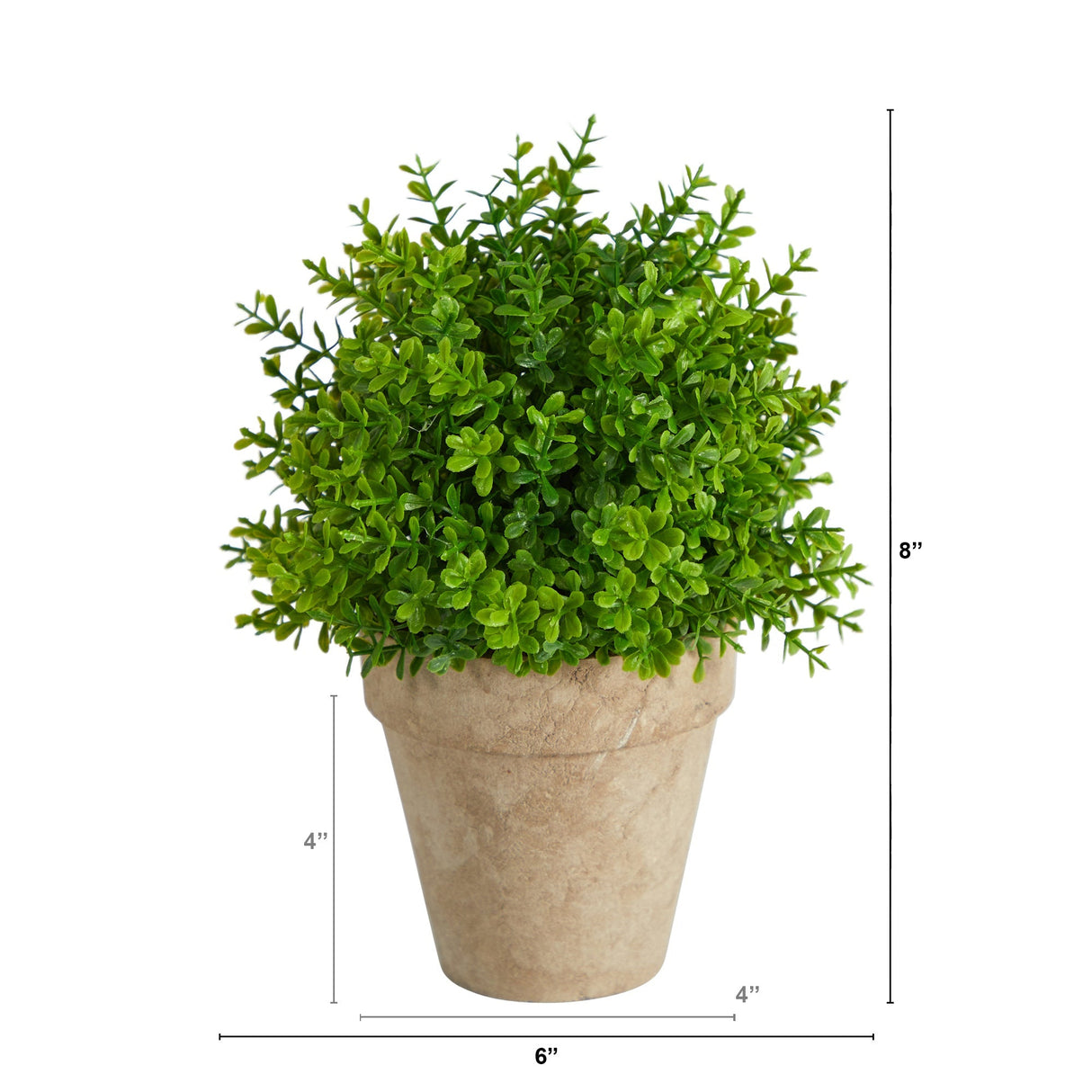 8” Boxwood Artificial Plant in Decorative Planter-Plant-Parc Decor