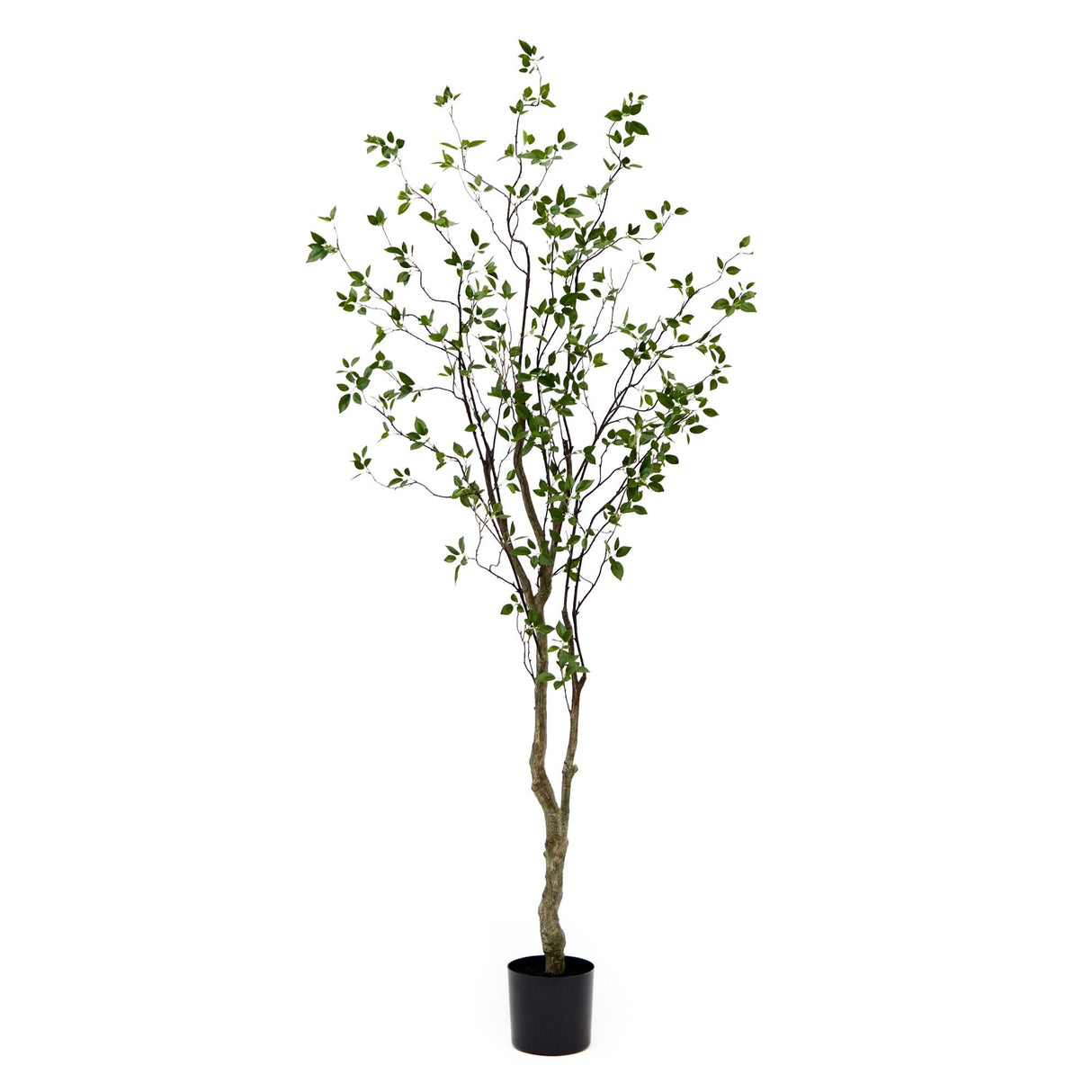 8' Minimalist Citrus Artificial Tree-Tree-Parc Decor