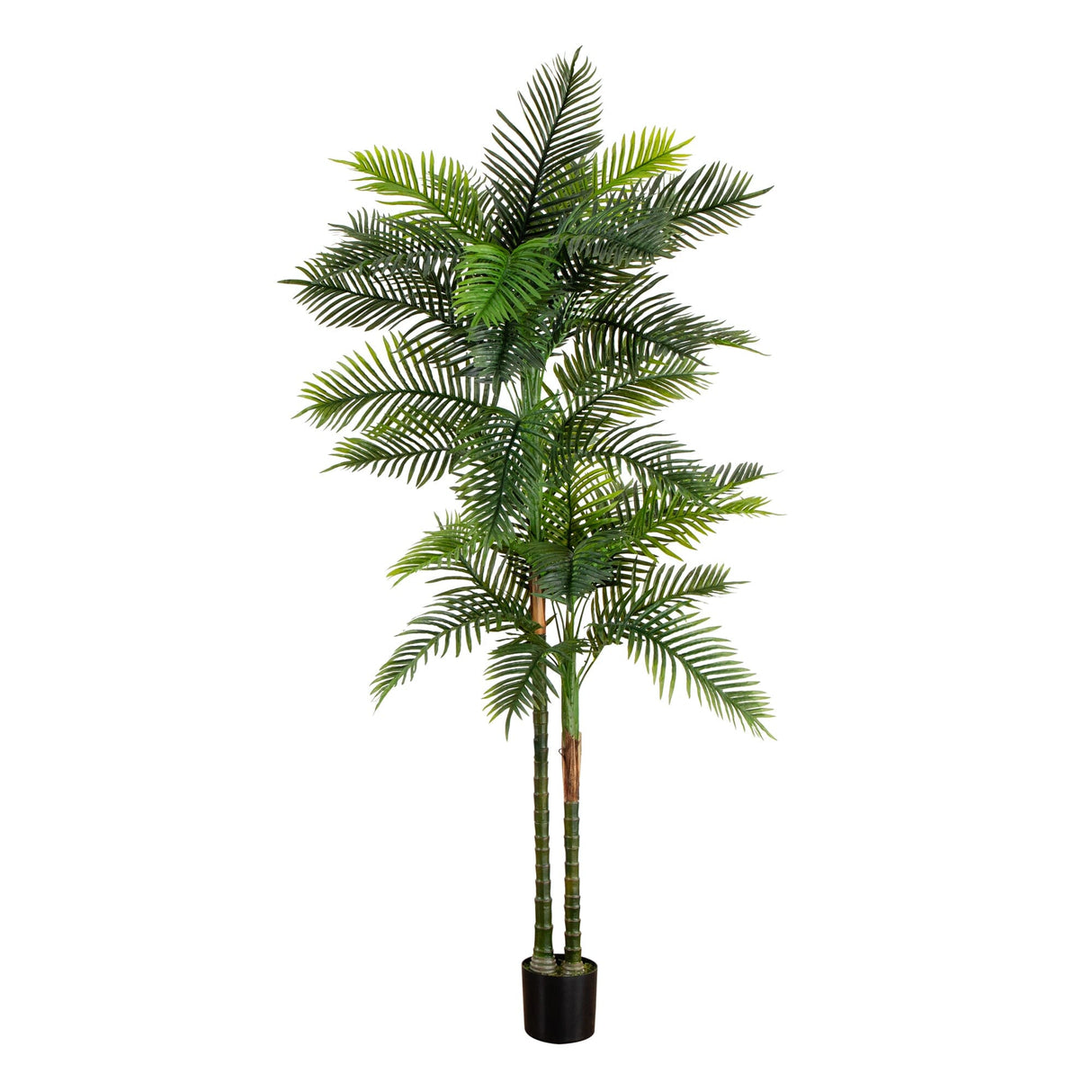 8’ UV Resistant Artificial Double Robellini Palm Tree (Indoor/Outdoor)-Tree-Parc Decor