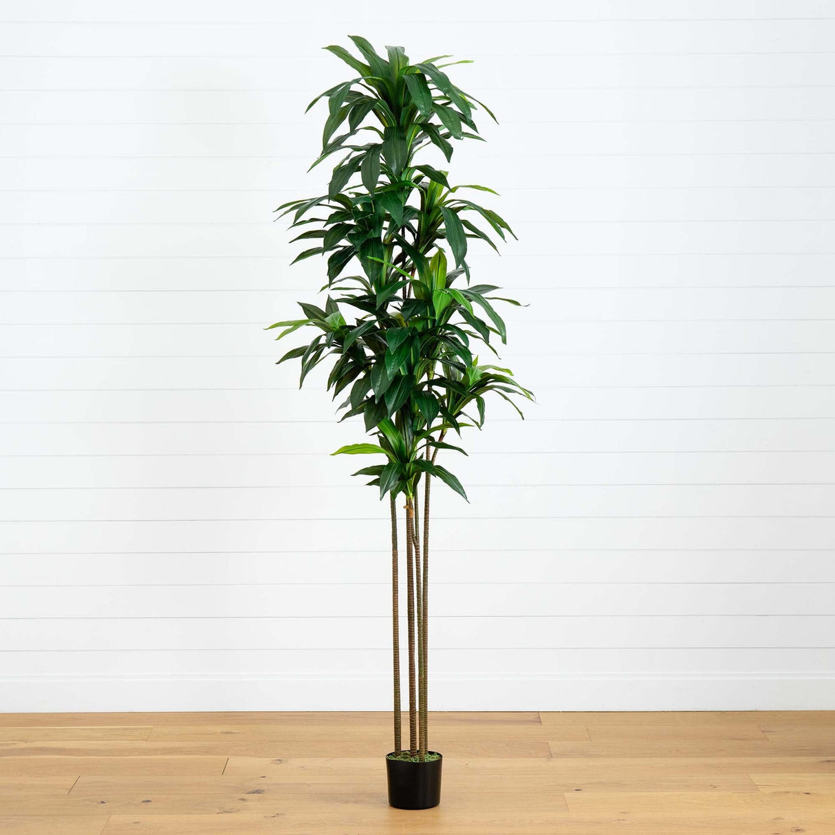 9’ Artificial Dracaena Tree with Real Touch Leaves-Tree-Parc Decor