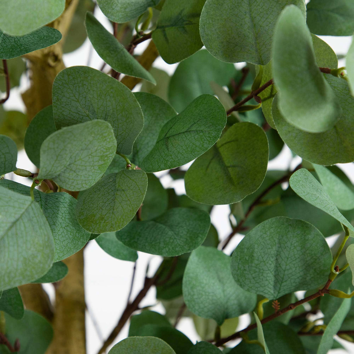 9’ Artificial Eucalyptus Tree-Tree-Parc Decor